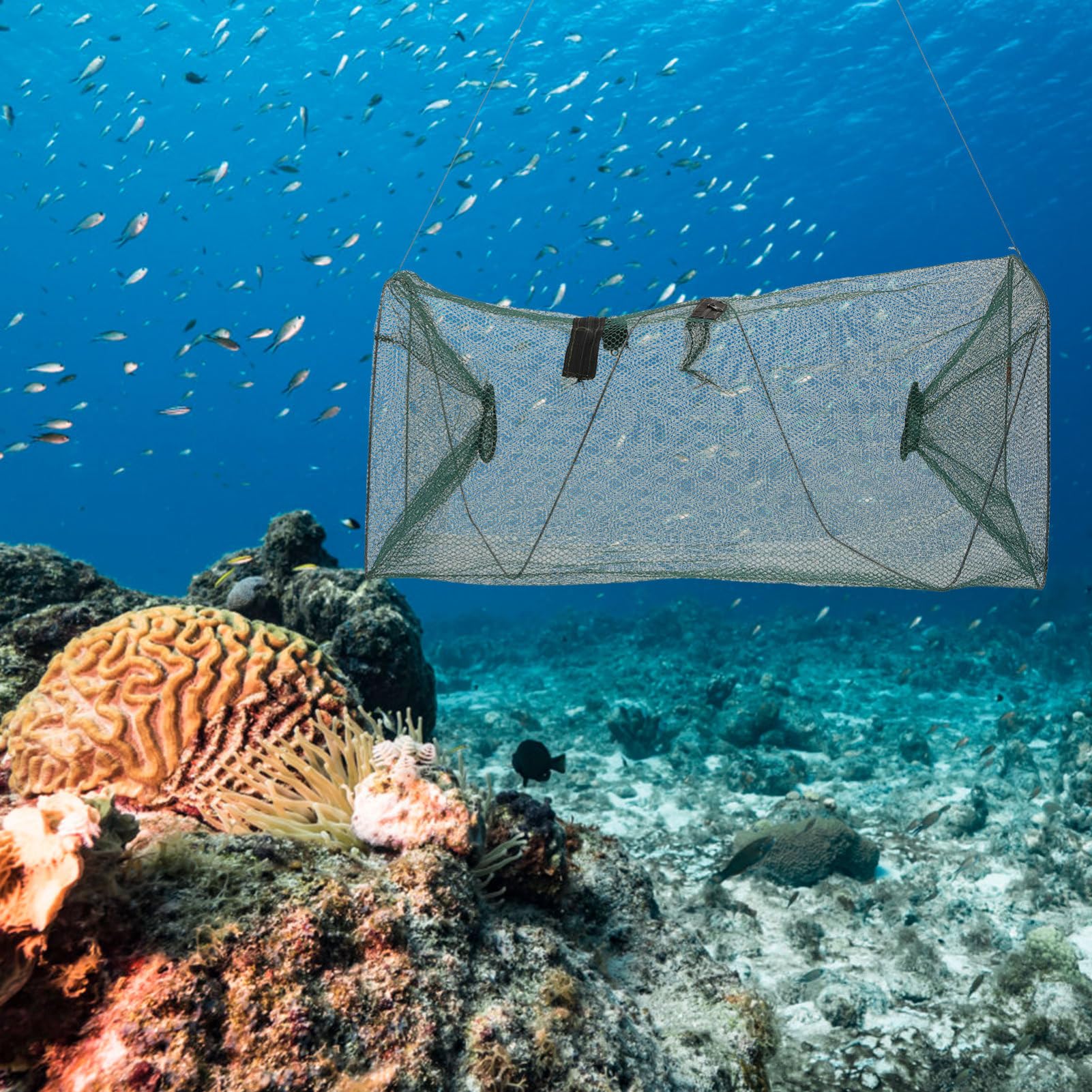 Toyvian Jaula Plegable para Camarones y Peces de Almacenamiento de Nylon Bolsa de Pesca Portátil de Limpiar Grande