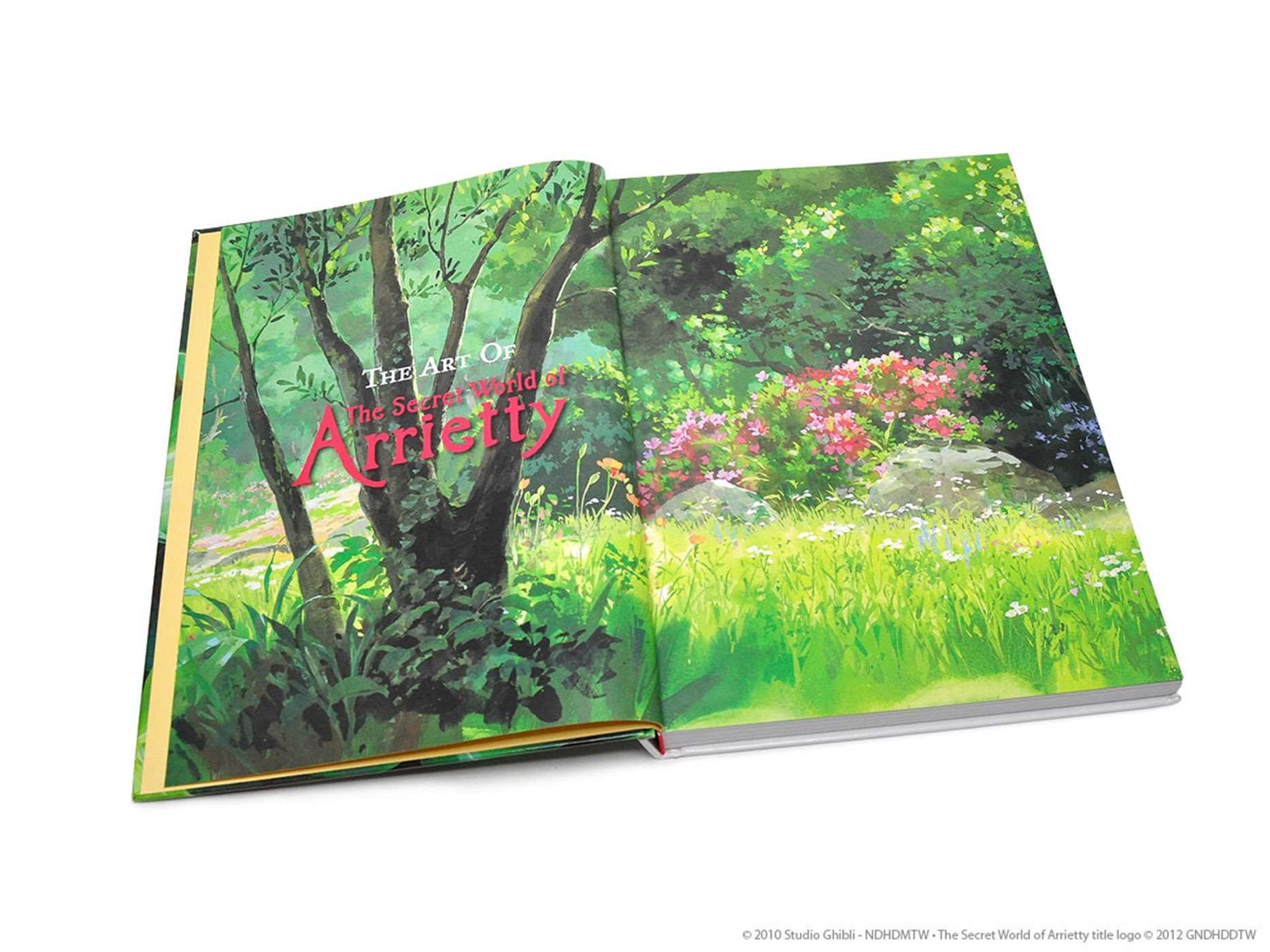 The Art of the Secret World of Arrietty