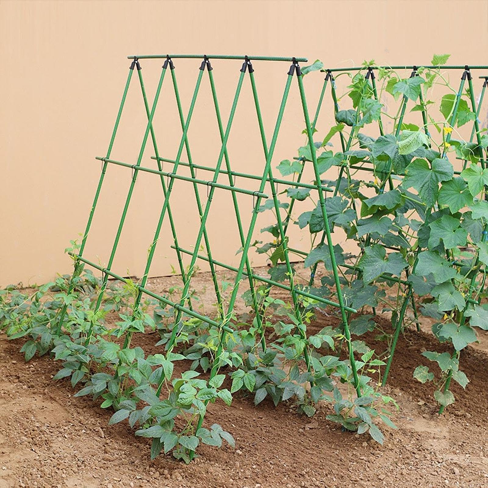 Traliccio per Cetrioli, Facile da Installare, Supporto per Piante Rampicanti Verticali, Ideale per Interni Ed Esterni, 60cmx60cm