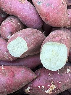5 Pounds Fresh Japanese White Sweet Potatoes Yam - Red Skin - White Flesh - Large Size Roots - Produce