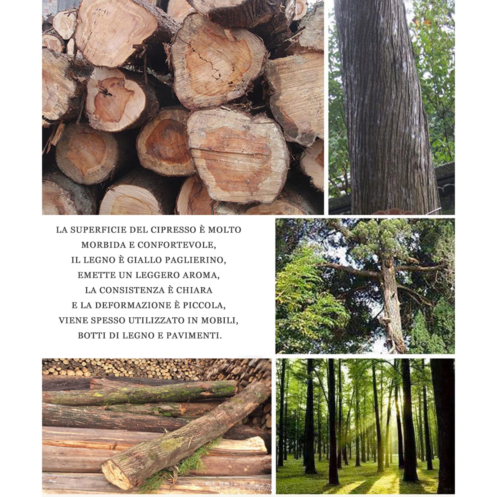 Bacinella Pediluvio Legno Realizzato A Mano per Un Isolamento Duraturo Pediluvio Piedi Professionale,Confortevole Idromassaggio Plantare Perfetto per Bagnare I Piedi
