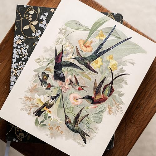 Miniatura 3 de Fringe Studio Classic - Diario grande de tapa blanda, HUMMINGBIRDS, 7.5 x 9.5 pulgadas, 208 páginas, colección Memento (841055)