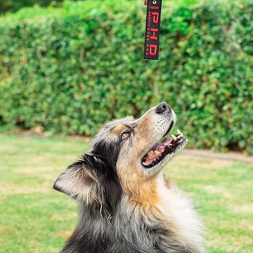 Miniatura 2 de Moto Loot Llavero de perro para cachorros, llavero para llaves, regalo, regalo y amante de los perros (I Have A Pretty Huge Dog), Tengo un perro