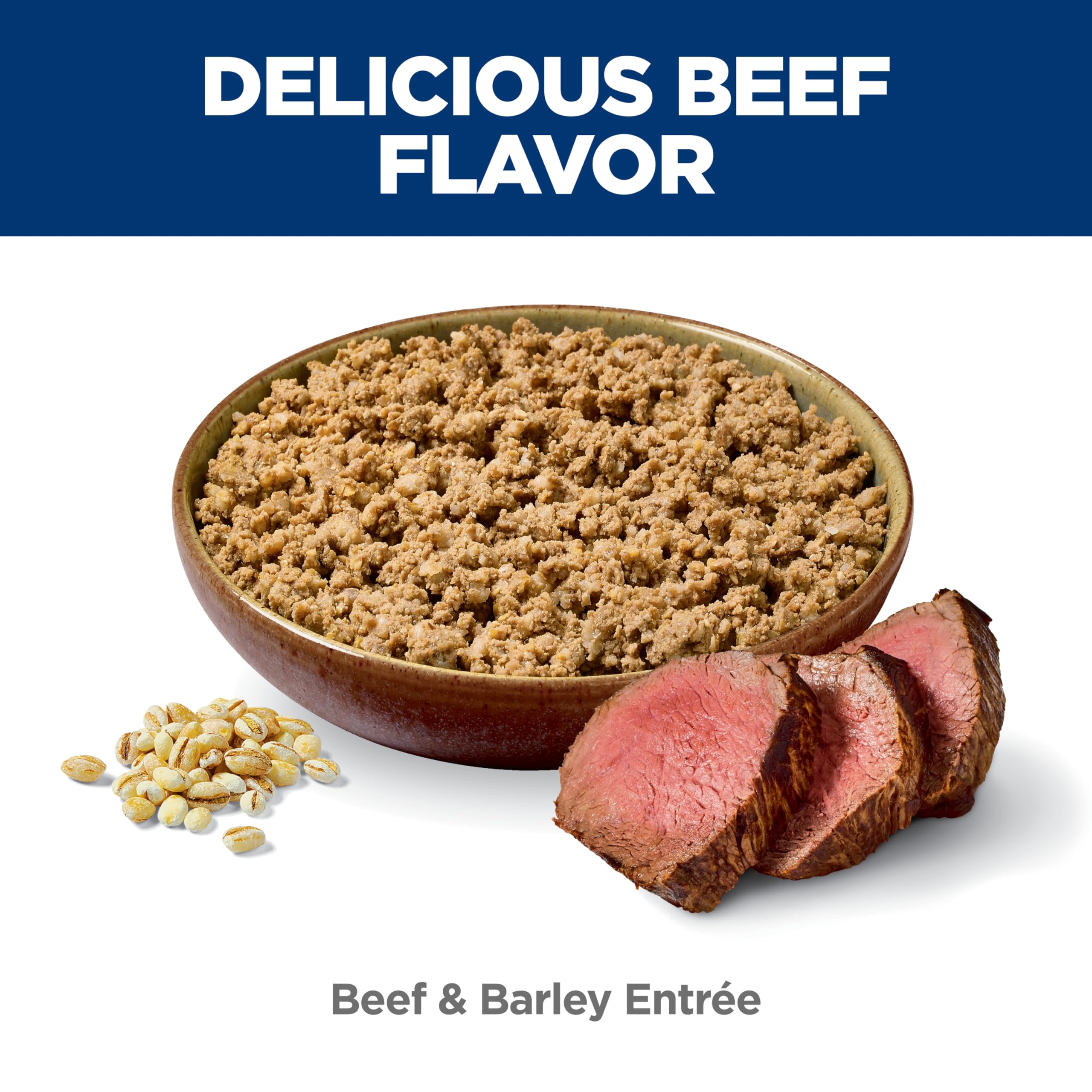 Hill's Science Diet Puppy Small & Mini Wet Food with Beef & Barley