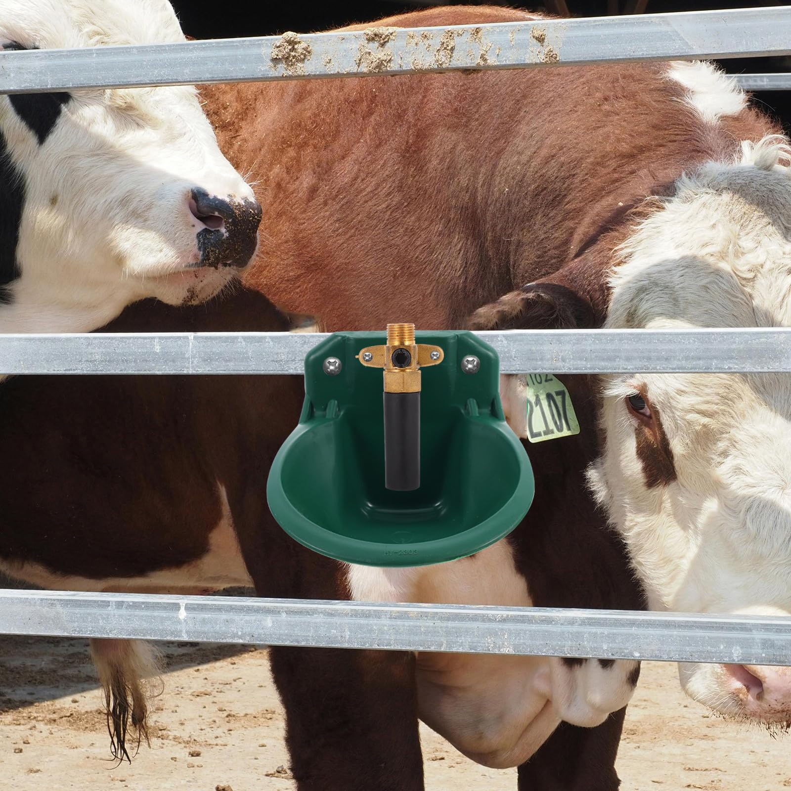 Levemolo Valvola Automatica per Abbeveratoio Bestiame Raccordo Erogatore Acqua, Ricambio per Ciotole per Bovini, Suini e Ovini in Impieghi Gravosi