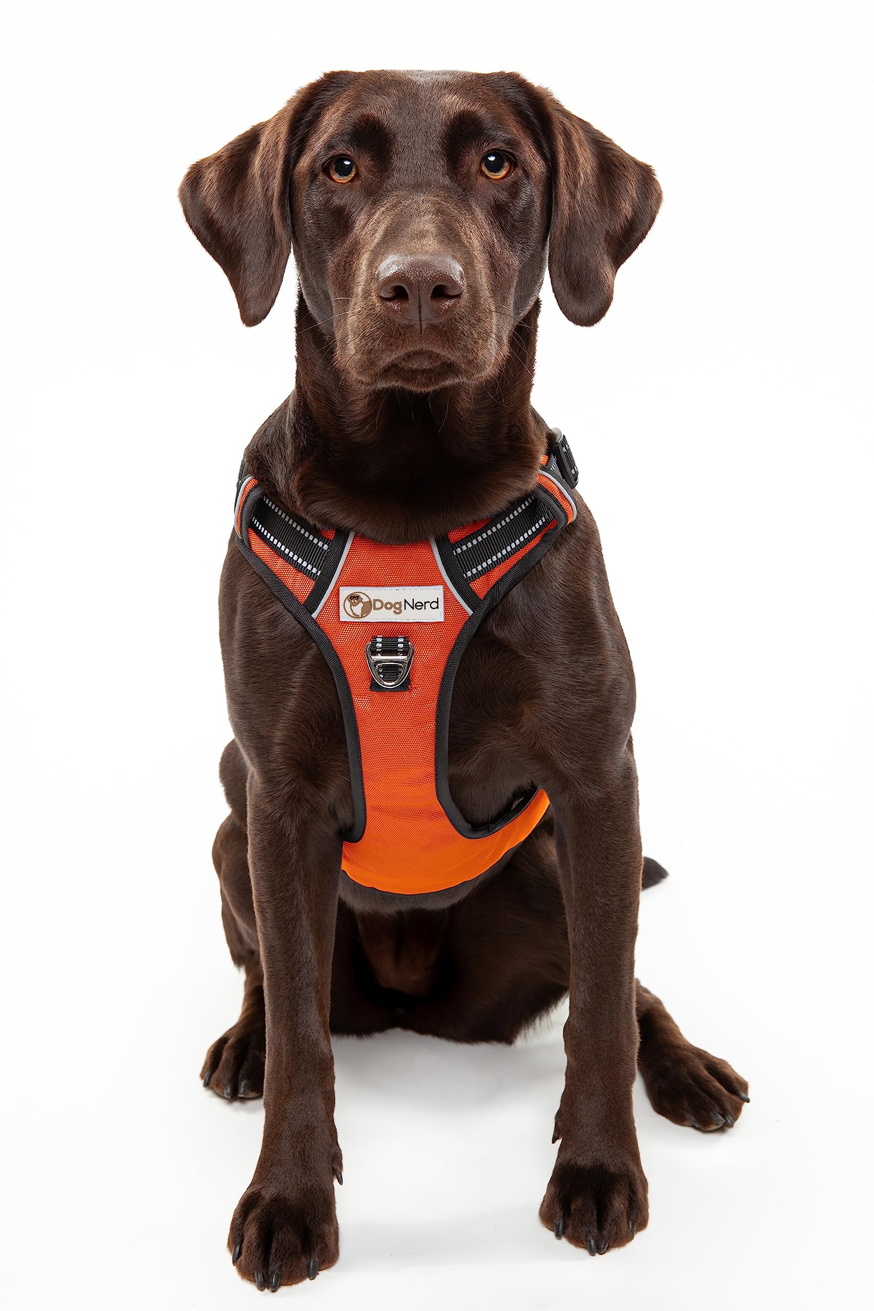 Pettorina regolabile di alta qualità per cani di taglia grande (22,7-40,8 kg), clip in metallo, manico imbottito, 2 clip per guinzaglio, tessuto Oxford resistente, finiture riflettenti, non