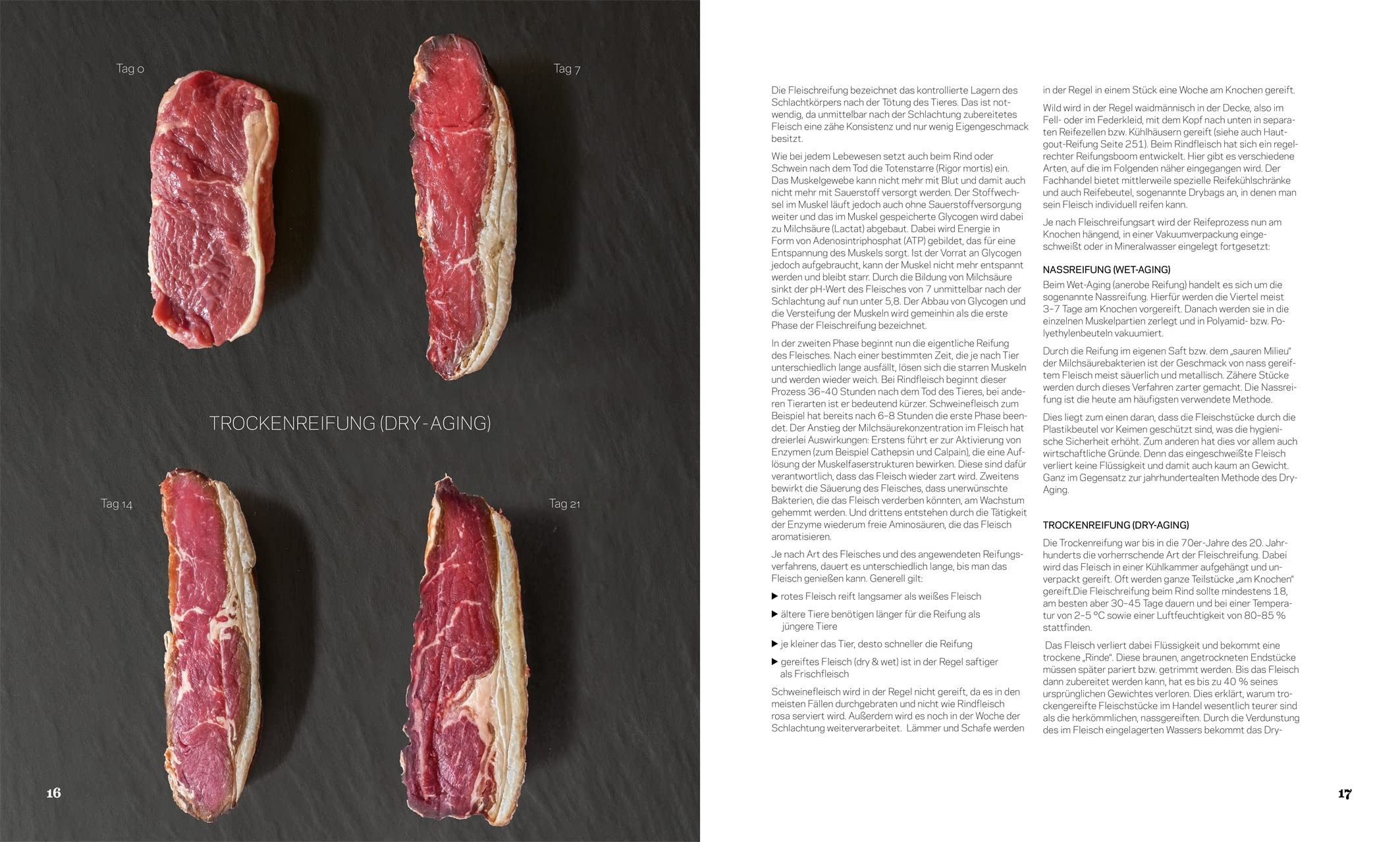 Fleisch: Rezepte und Praxiswissen zu besonderen Fleischstücken
