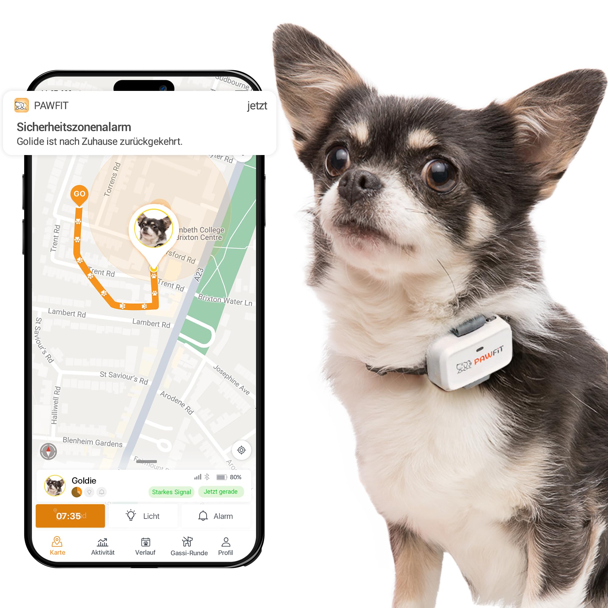 Pawfit Lite GPS-Tracker mit 4G für kleine Hunde | Tracking in Echtzeit | Aktivitätsüberwachung |Standortverlauf | Unbegrenzte Reichweite | Onyxschwarz