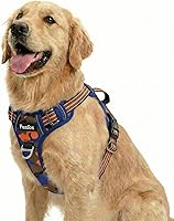 Vista 51 de Funfox Arnés para perro sin tirones, arnés de chaleco ajustable para mascotas, material súper suave con mango vertical, fácil control, paseo