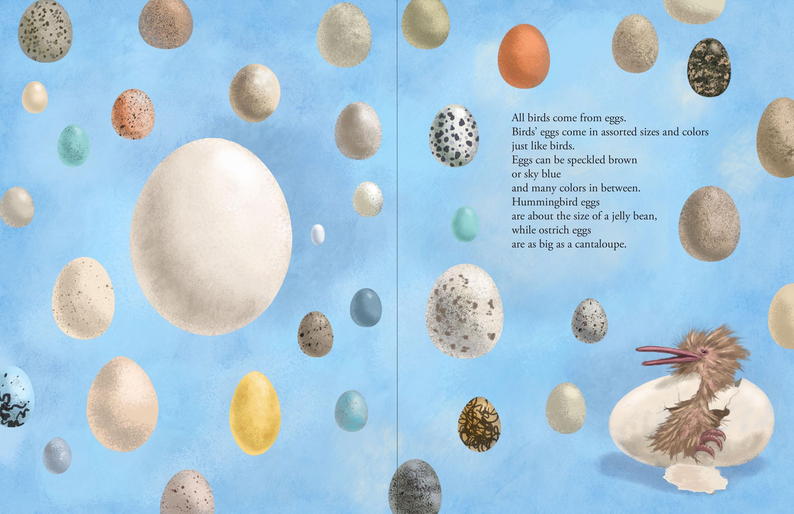 All the Birds in the World - Image 6