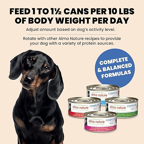 Miniatura 7 de almo nature HQS - Comida húmeda completa para perros, estofado de pollo con verduras, 5.5 onzas, paquete de 12