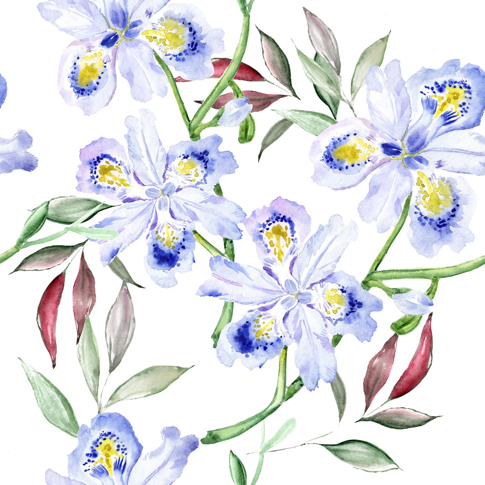 Watercolor Floral Wallpaper Peel & Stick