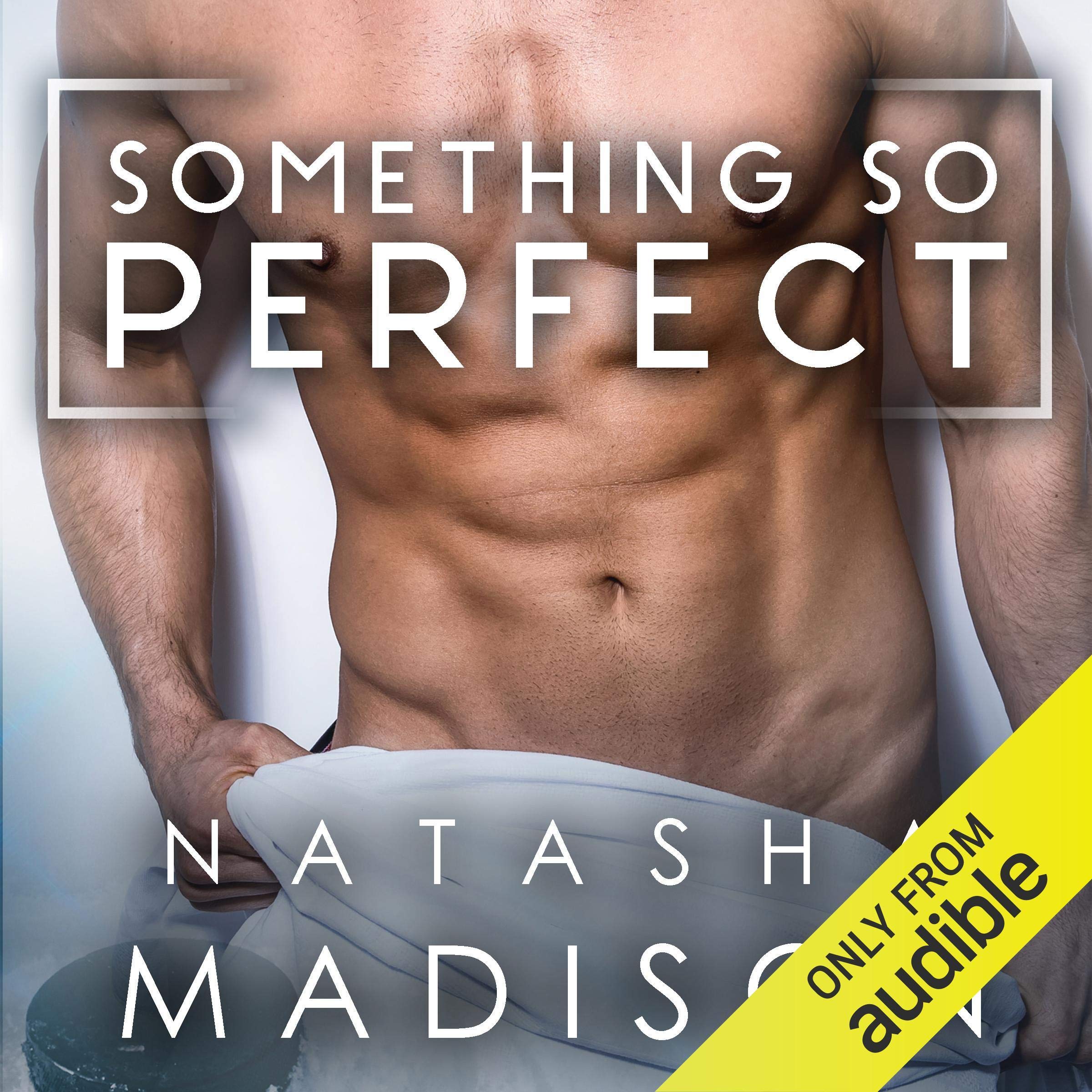 Cover art for Something So Perfect