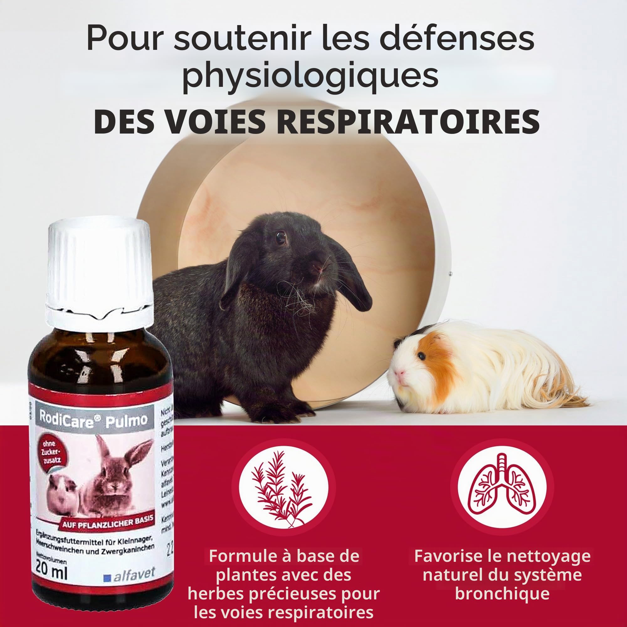 alfavet RodiCare Pulmo : 20 ML Complément Alimentaire pour Lapins Nains, cochons d'Inde et Petits rongeurs pour Soutenir Les défenses physiologiques des Voies respiratoires