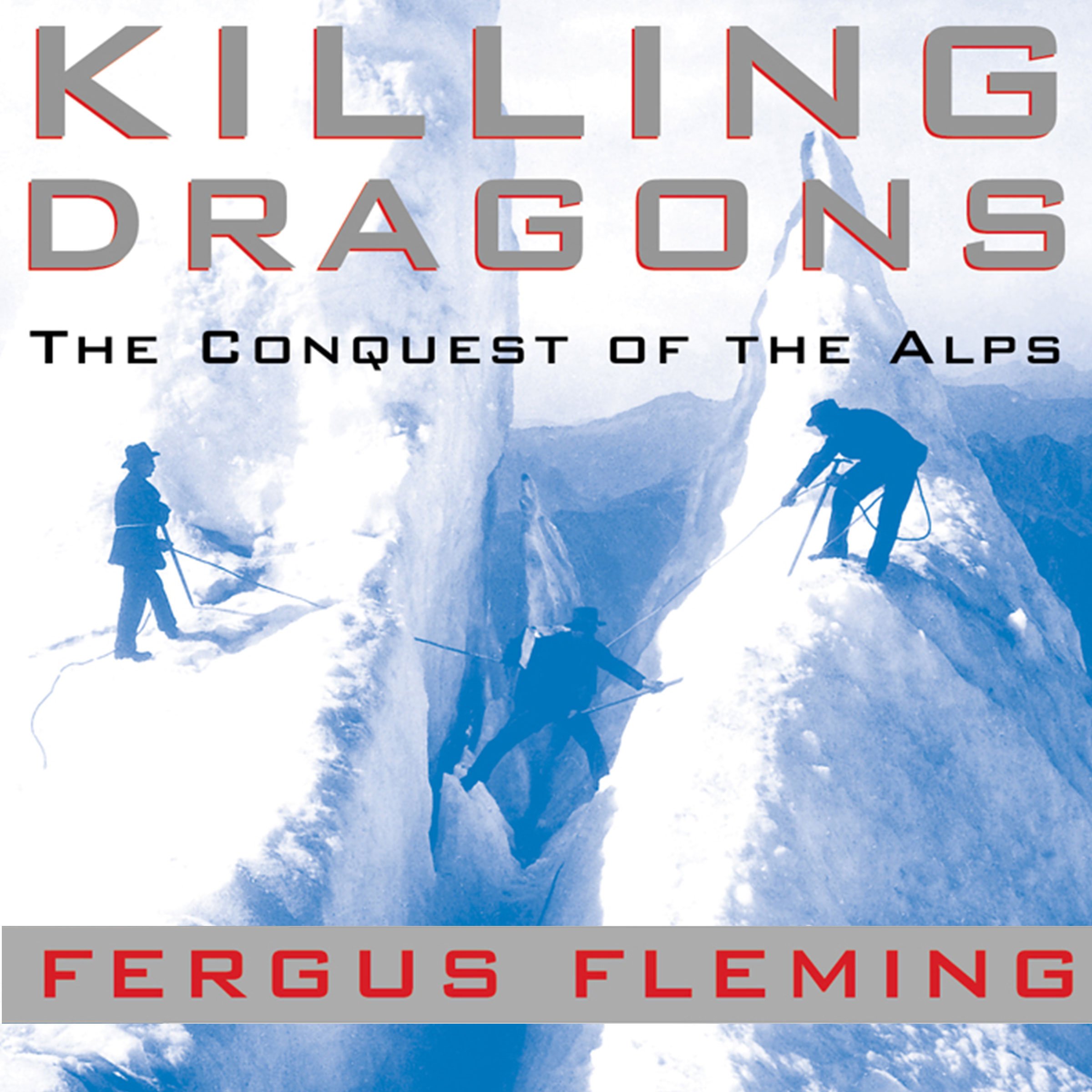 Cover art for Killing Dragons