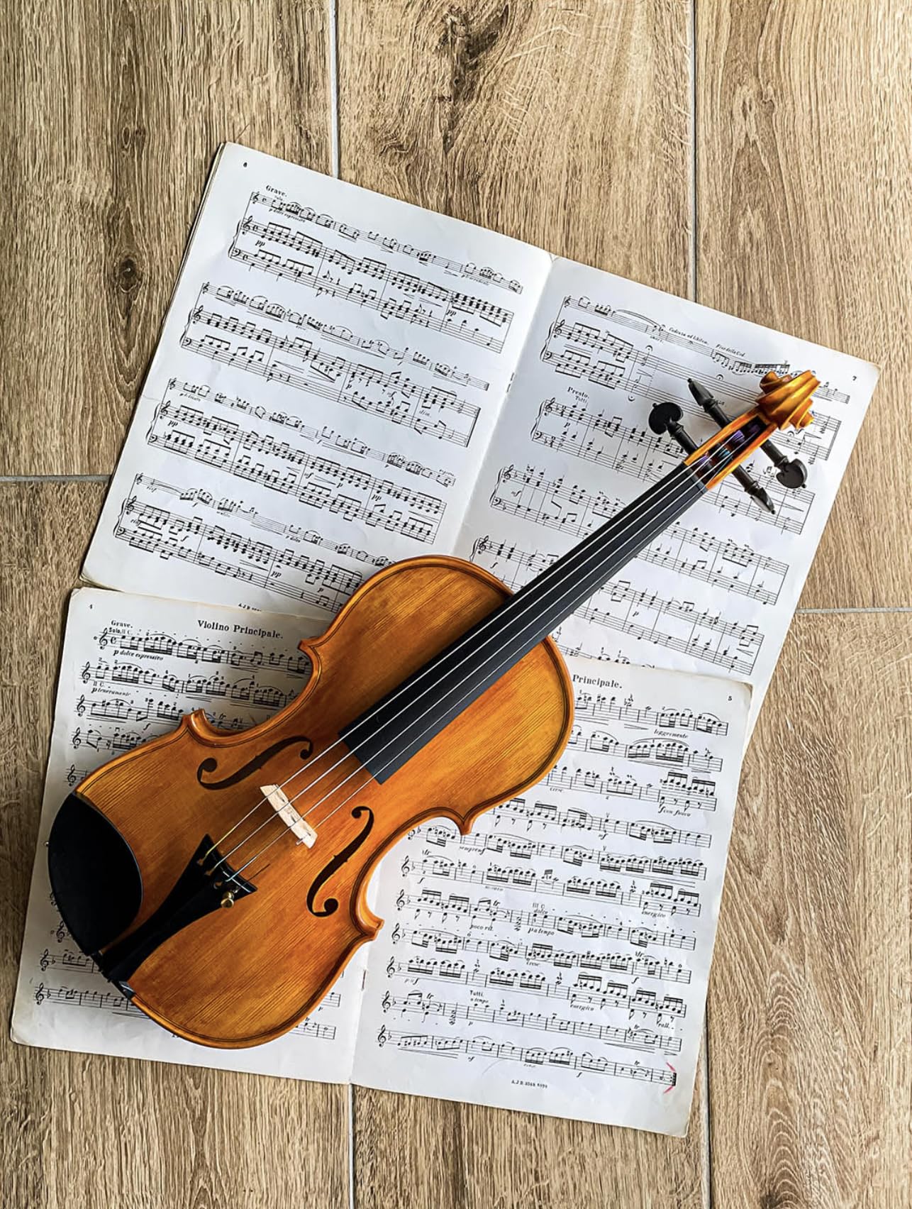 Conrad Gotz Zk256 pour violon