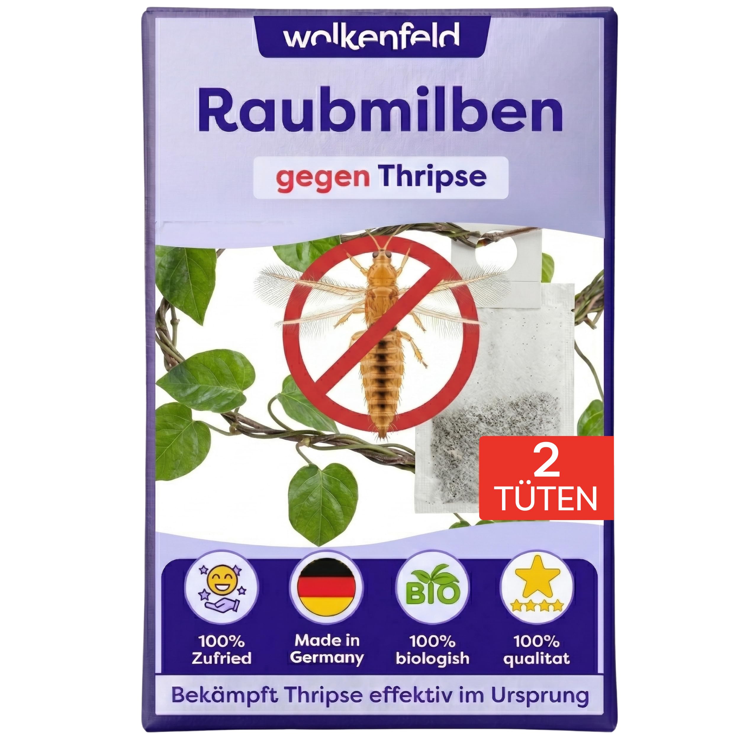 Wolkenfeld