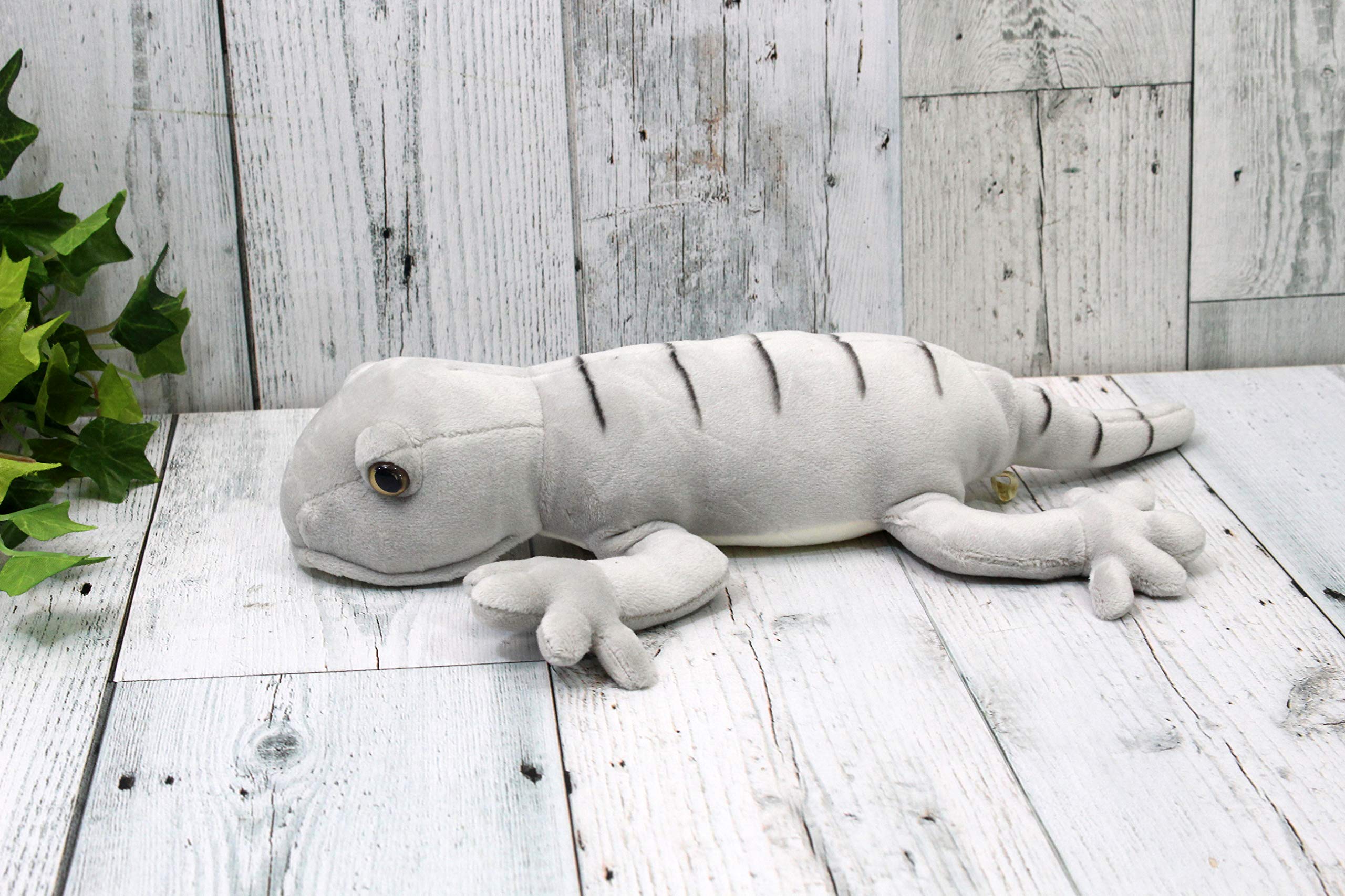 シャックシリーズ イモリ シャックシリーズ イモリ 【公式通販】