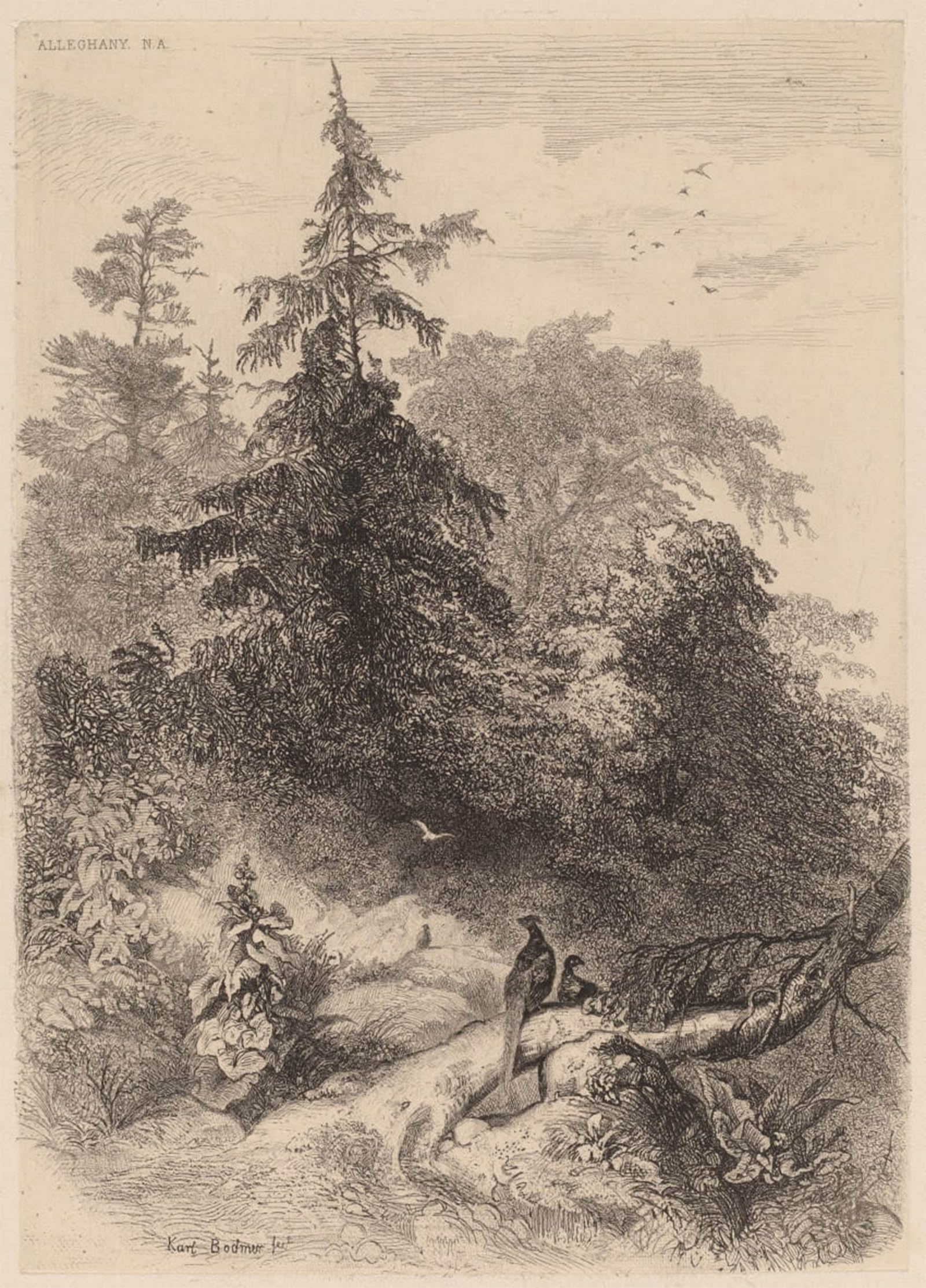 ARTXLXXBN Famous Prints Artwork Pictures Poster Painting Art the Pheasants by Karl Bodmer Artwork Landscape Pictures for Home Decor 60x90cm