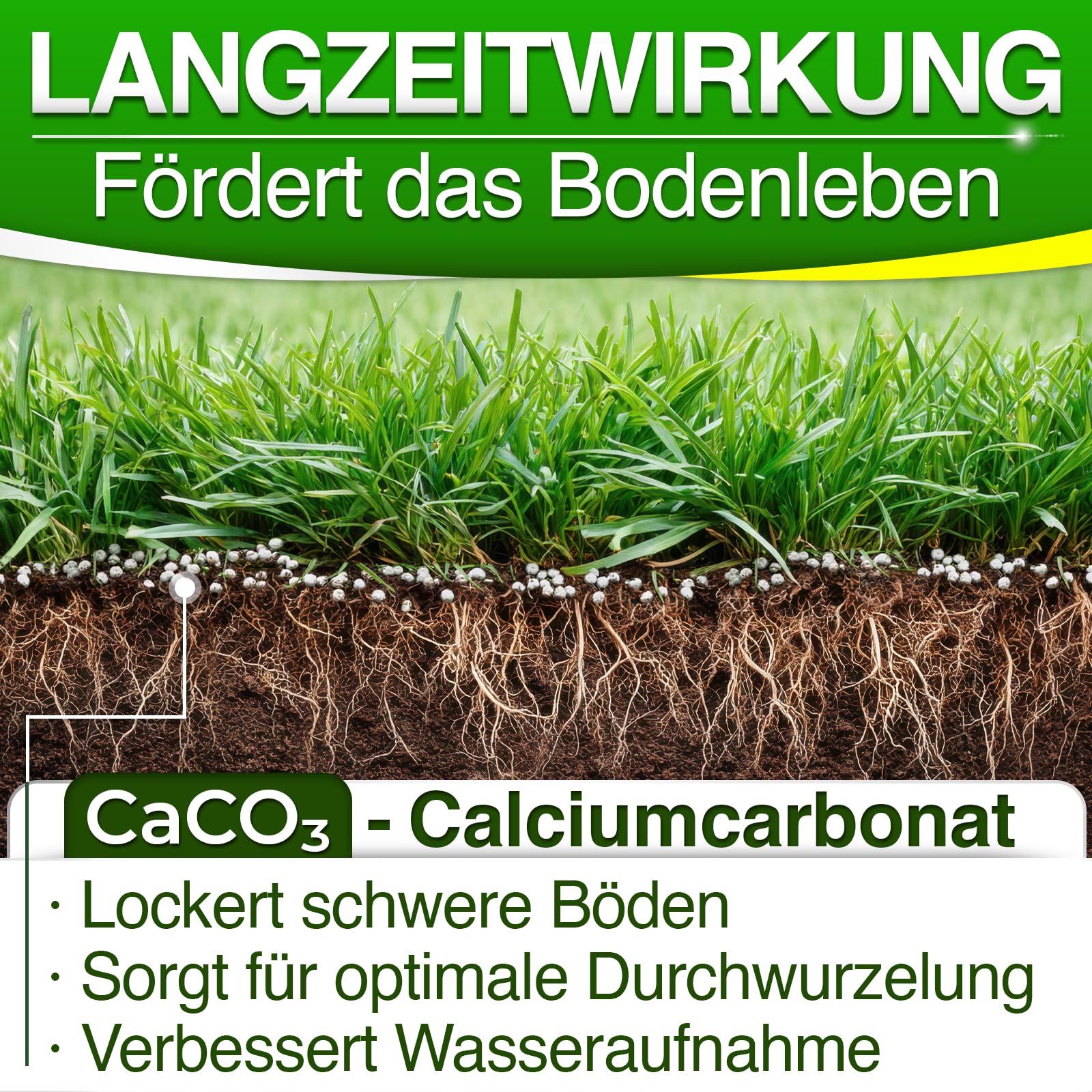Rasenkalk 30 kg – hochwertiger Rasen- & Gartenkalk zur pH-Optimierung und Bodenverbesserung – verbessert Nährstoffaufnahme, beugt Moosbildung vor, sorgt für kräftigen Rasen im Garten