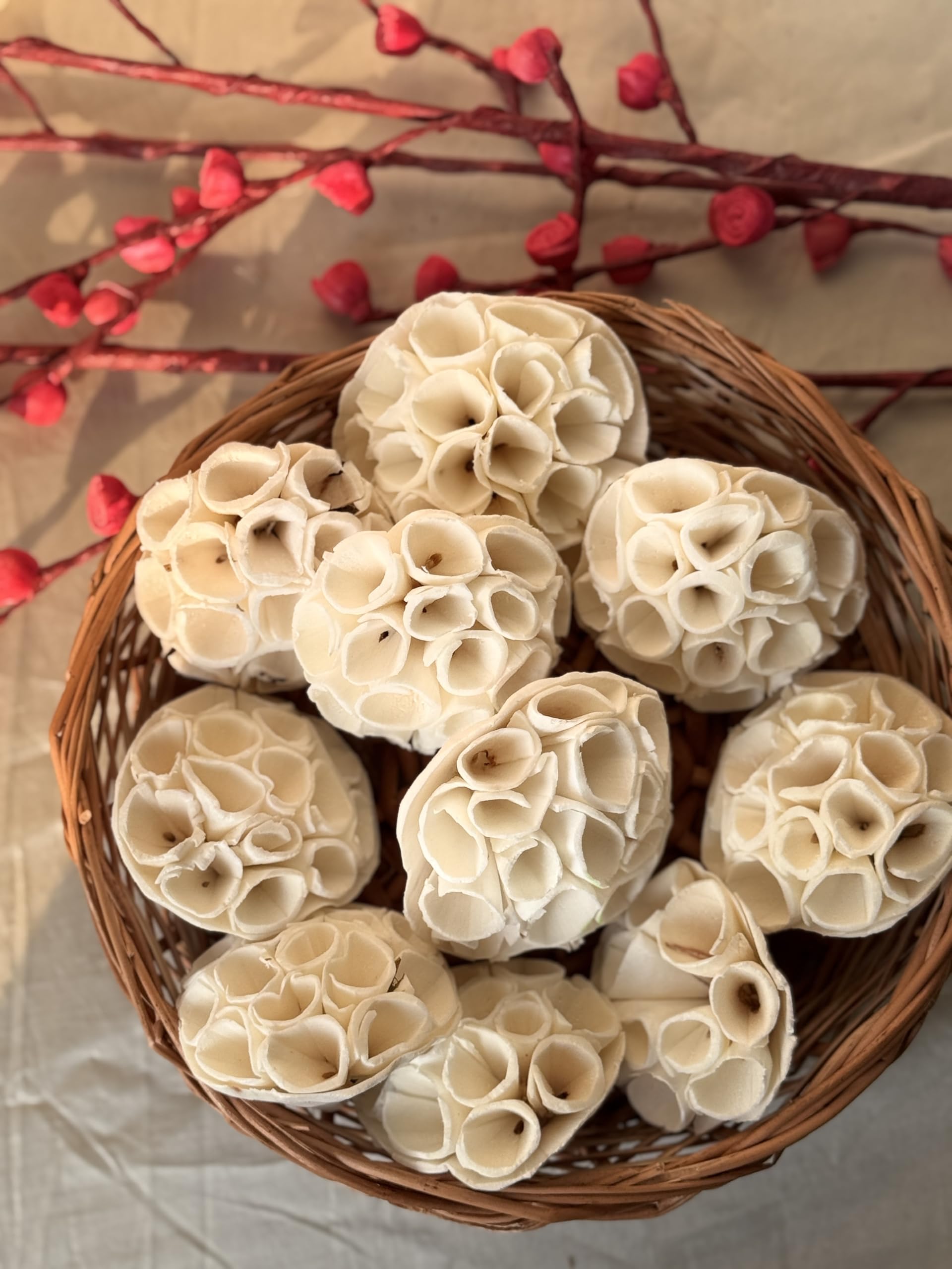 Sola Honey Comb | 10 Piece | Handcrafted, Textured Bloom for Natural Aesthetic & Creative Craft Projects-image-4