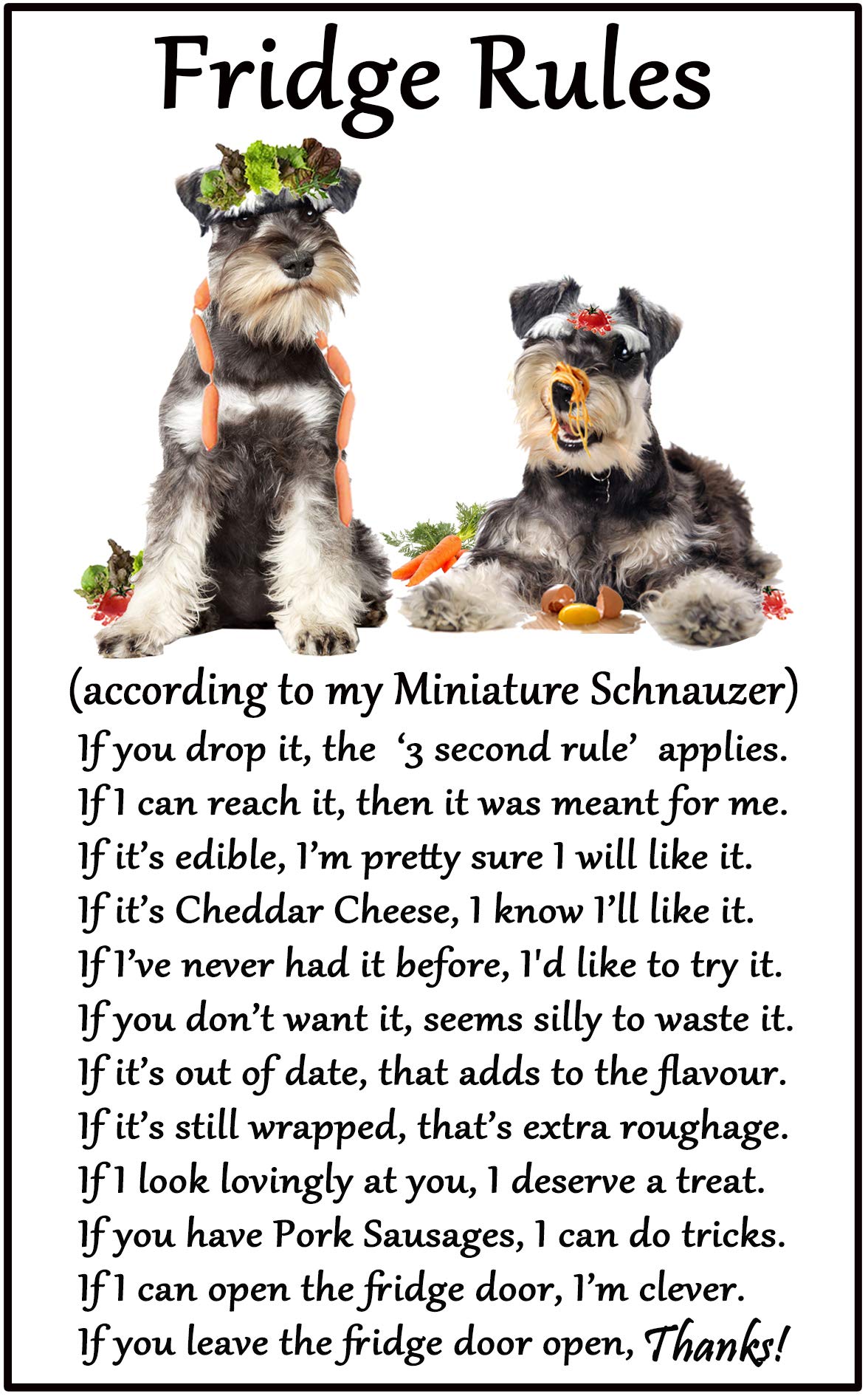 Fridge Magnets Multicolor Miniature Schnauzer Gift - Fridge Rules - Large Fun Flexible Fridge Magnet- Size 16Cms X 10 Cms (Approx. 6" X4")