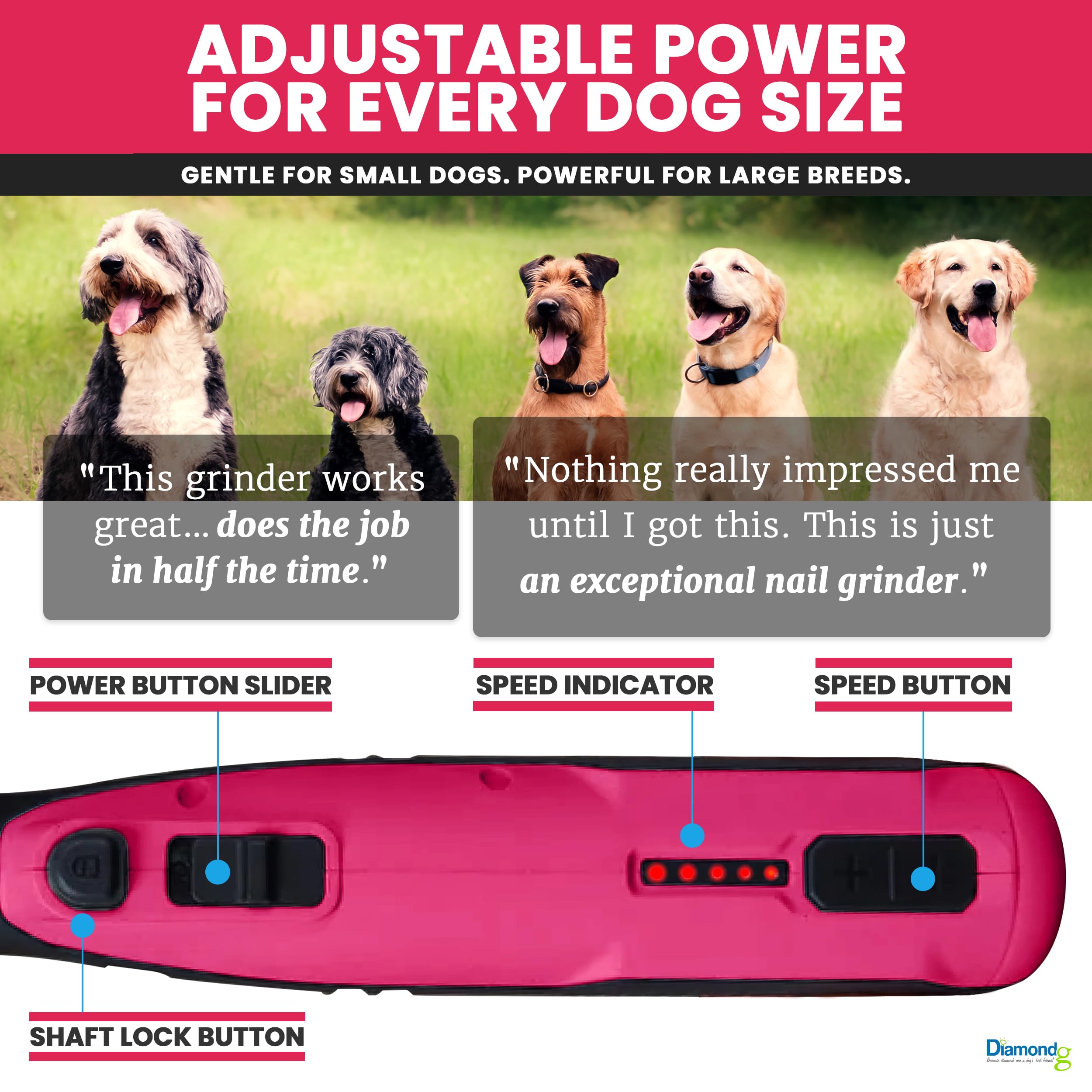 Diamondg Molinillo de uñas inalámbrico para perros con sonido silencioso y punta LED para perros grandes y pequeños, 4 horas de tiempo de funcionamiento, cortaúñas eléctrico para perros, herramienta