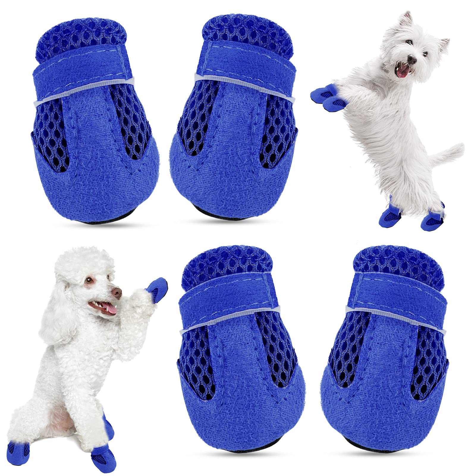 Should I Get Shoes For My Dog