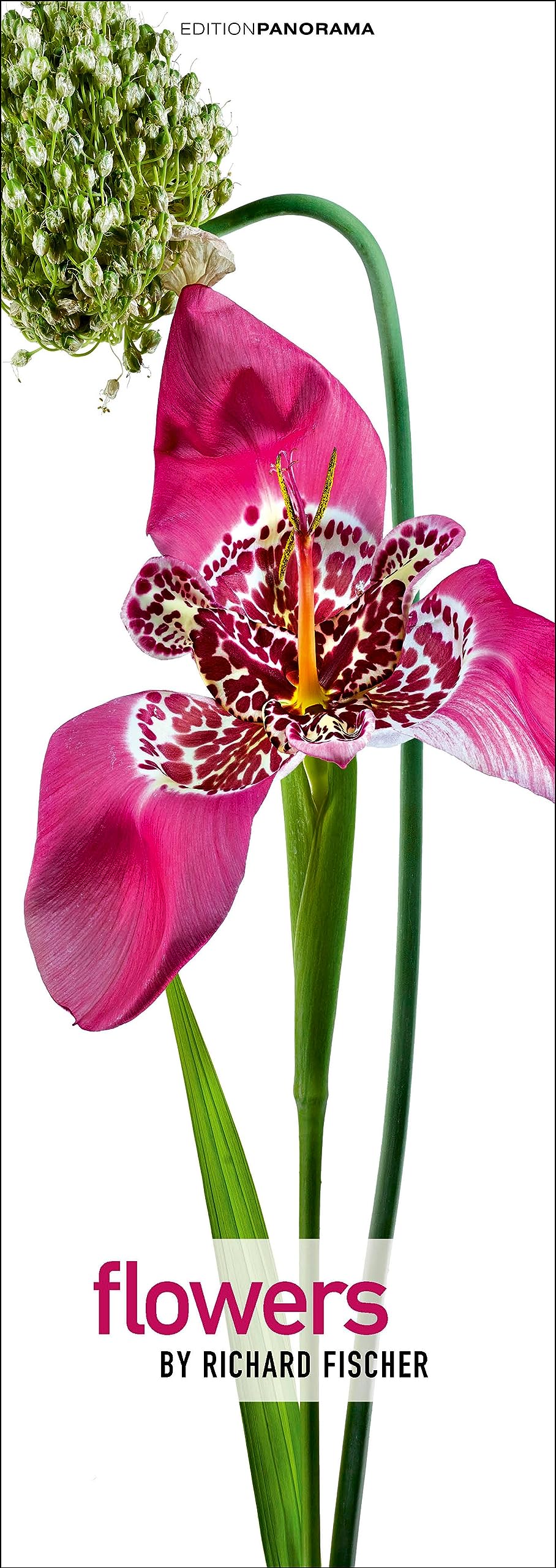 Flowers: Immerwährender Vertikal-Kalender, 40 x 110 cm