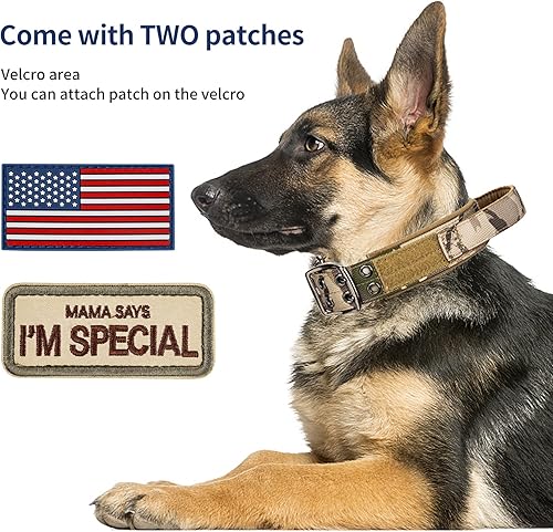 Miniatura 4 de Annchwool Collar táctico para perro mediano y grande, collar militar ajustable con mango acolchado suave, diseño de doble hebilla resistente