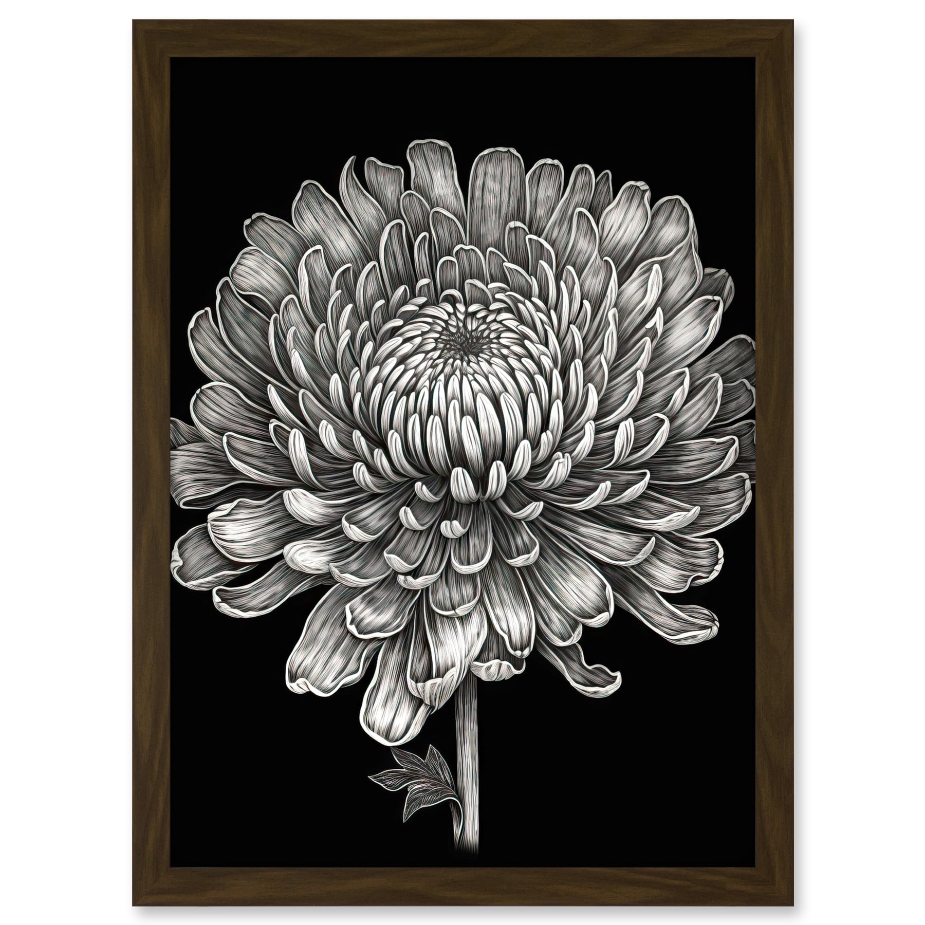 Artery8 Detailed Chrysanthemum Flower Bloom Illustration Artwork Framed A3 Wall Art Print