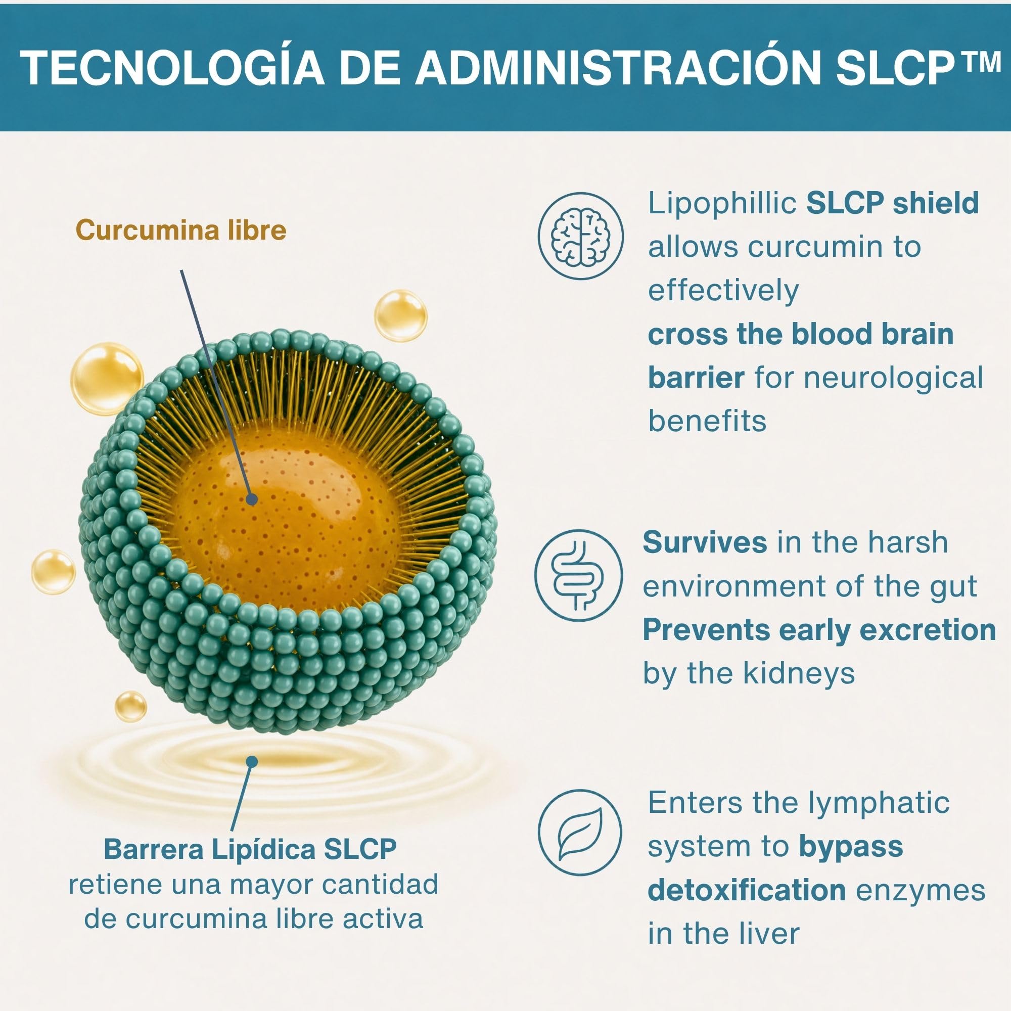 Igennus Longvida Curcumina Optimizada 500 mg, Dosis Alta y Biodisponibilidad 285 veces Mayor, Rápida Absorción con Acción Sostenida, Vegano, 30 Cápsulas