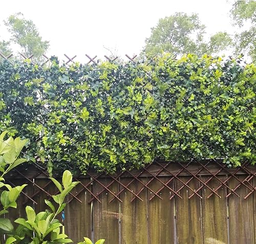 Miniatura 4 de Garden Land Valla extensible para jardín enrejada de sauce soporte para cerca para planta trepadora 36 x 92 pulgadas