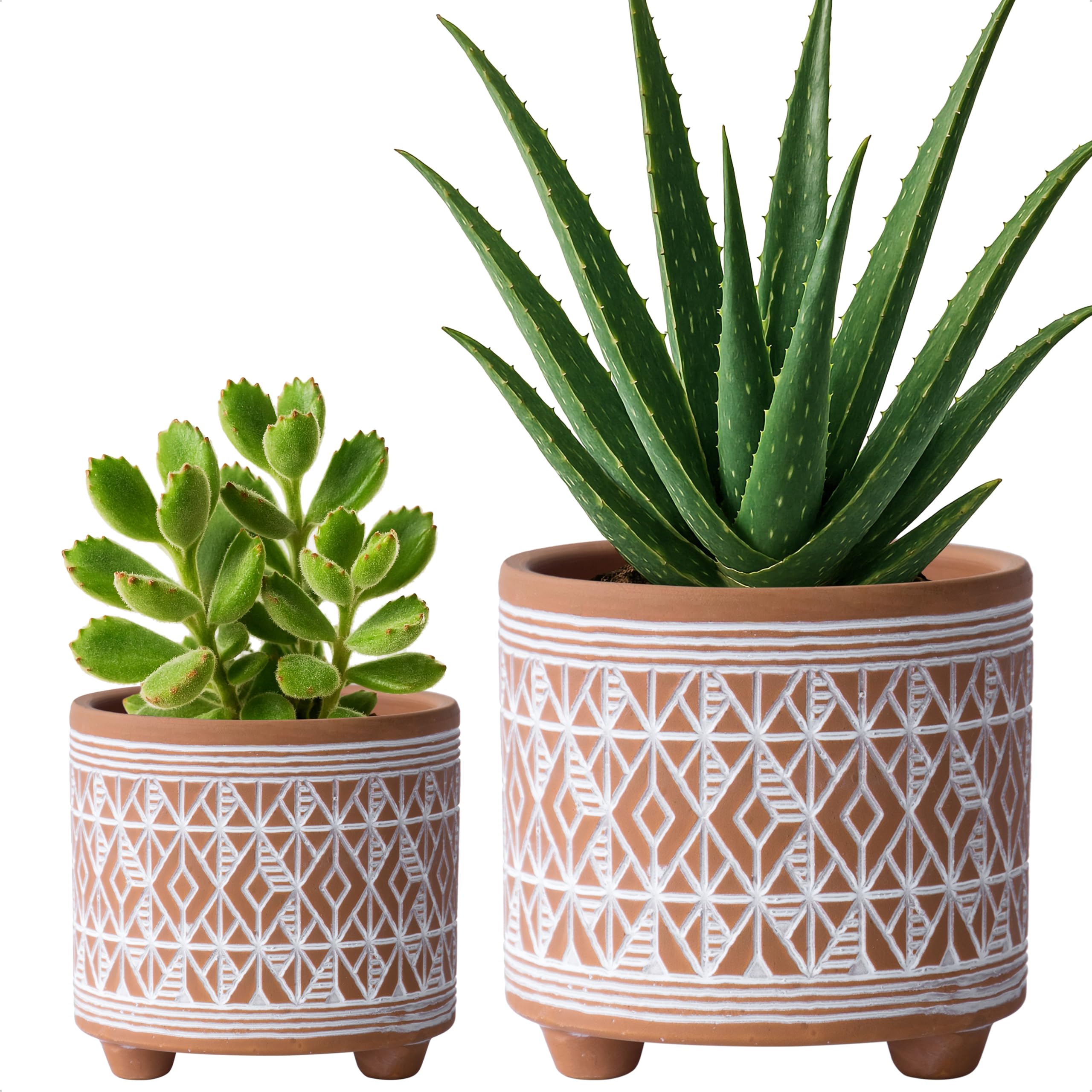 D'vine Dev Terracotta Pot Set