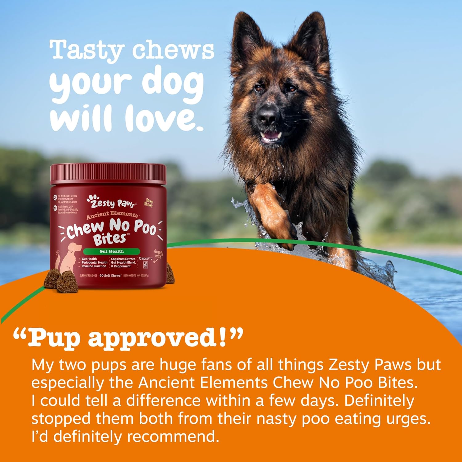 Zesty Paws Chew No Poo Bites for Dogs - Stool Eating Deterrent Soft Chews for Dogs - Gut, Periodontal & Immune System Support - Premium DE111 Bacillus subtilis Probiotic - AE Bison - 90 Count