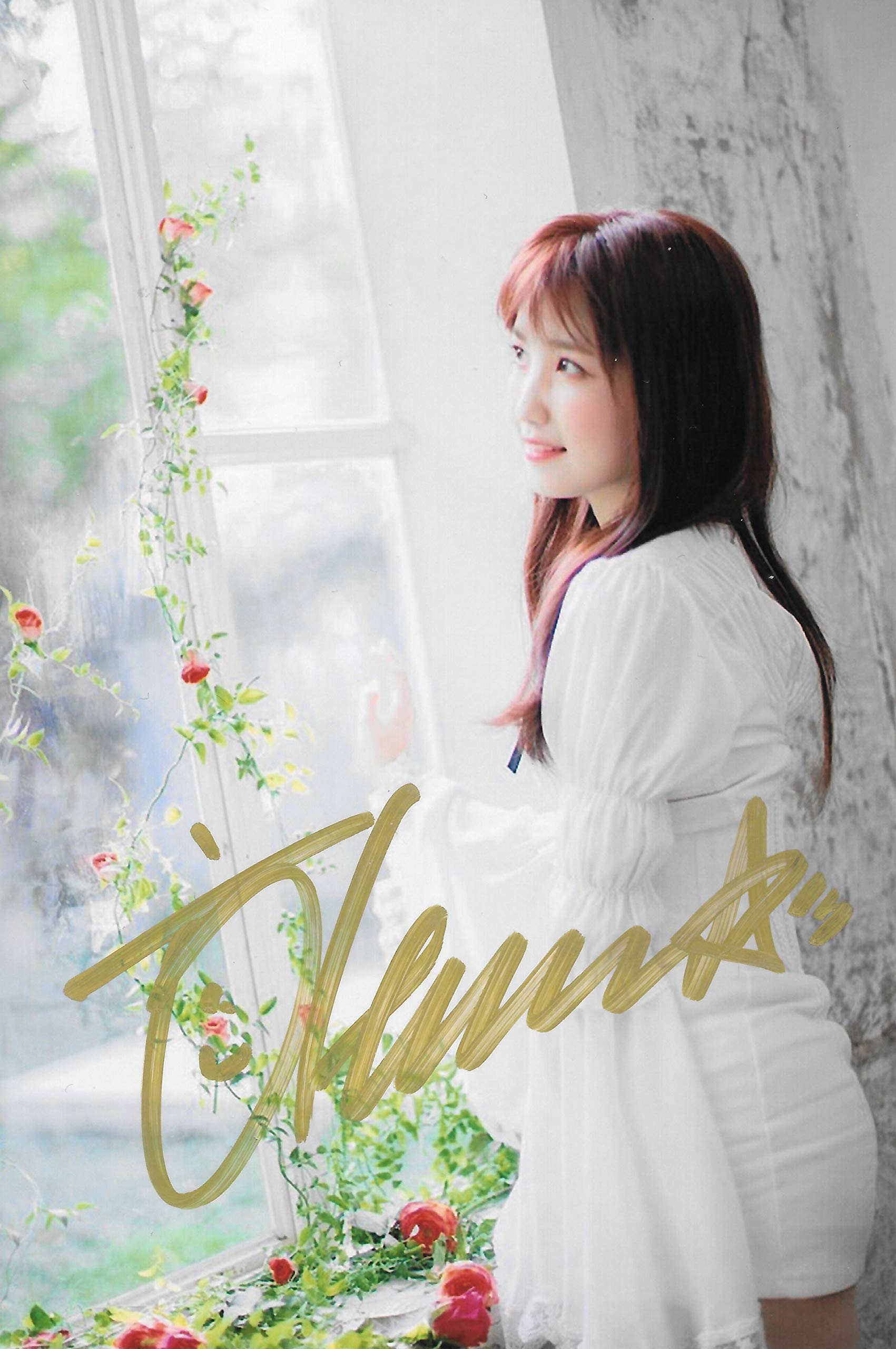 IZ*ONE 本田仁美　直筆サイン入り写真 Amazon.co.jp: IZ*ONE 本田仁美 「COLOR*IZ」直筆サイン入り