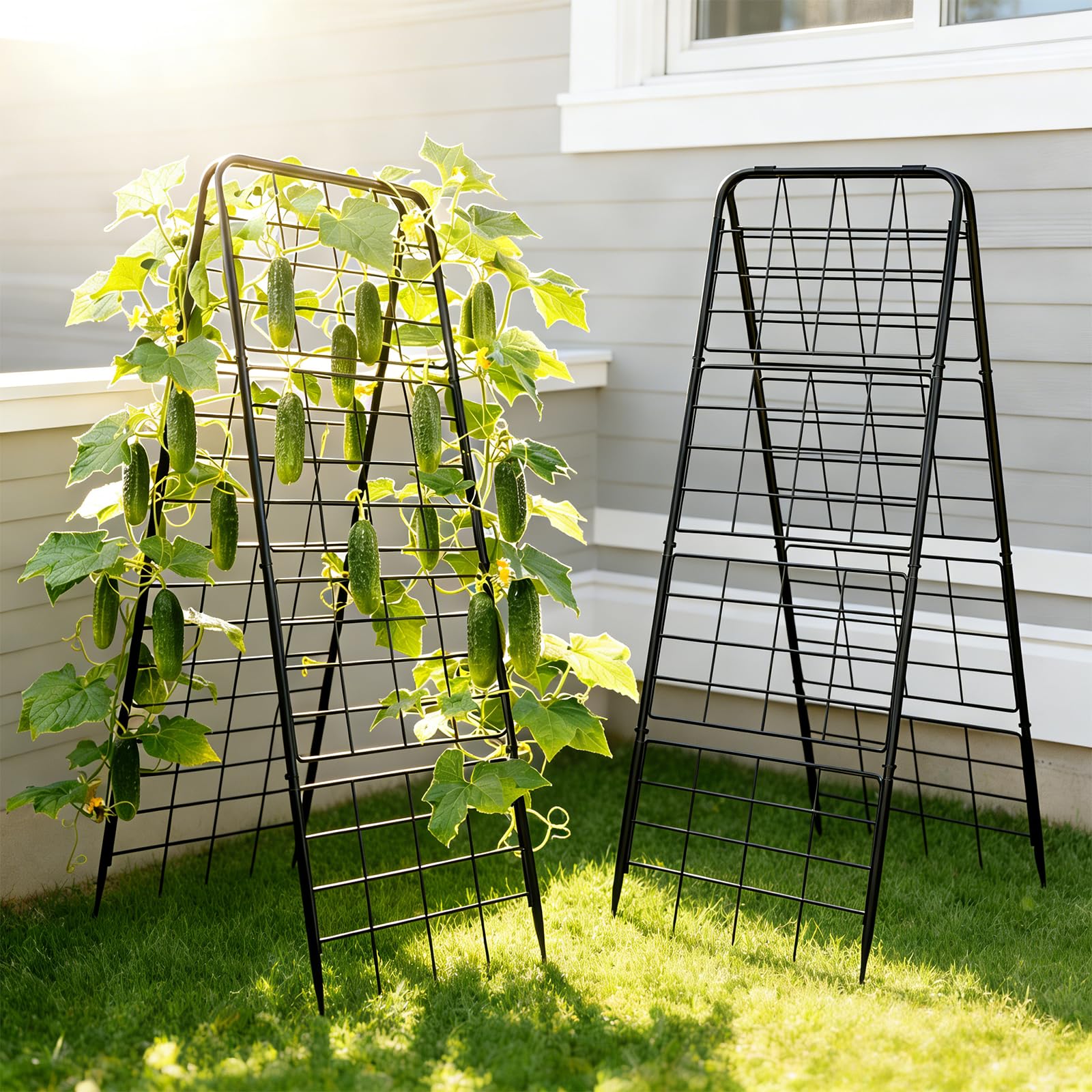 Treillis de jardin anti-affaissement cage à tomates rigide pour tuteurage extérieur