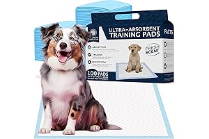 American Kennel Club Scented Puppy Training Pads: Unparalleled Potty Training Solution for Your Precious Pup