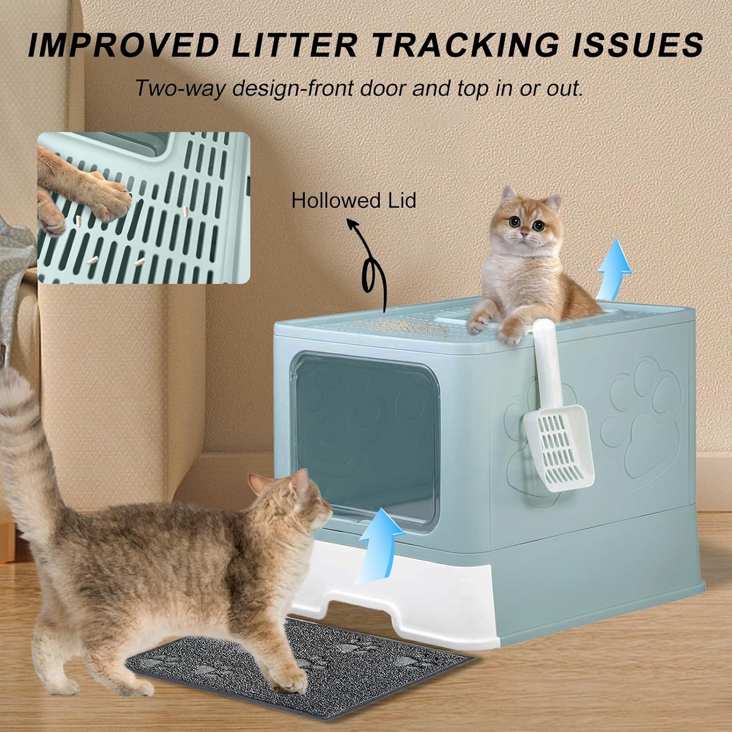 https://m.media-amazon.com/images/I/81y9L6qbgqL._AC_SL1500_.jpg