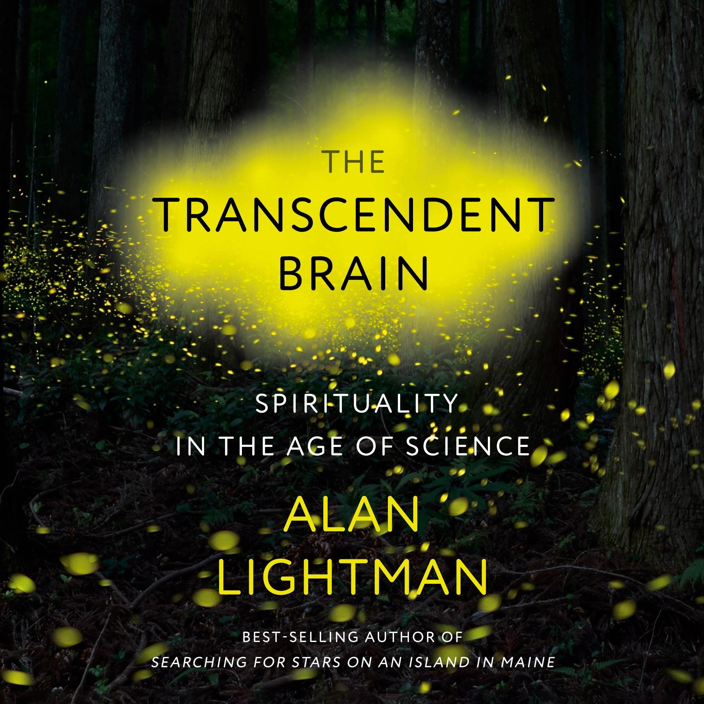 Cover art for The Transcendent Brain