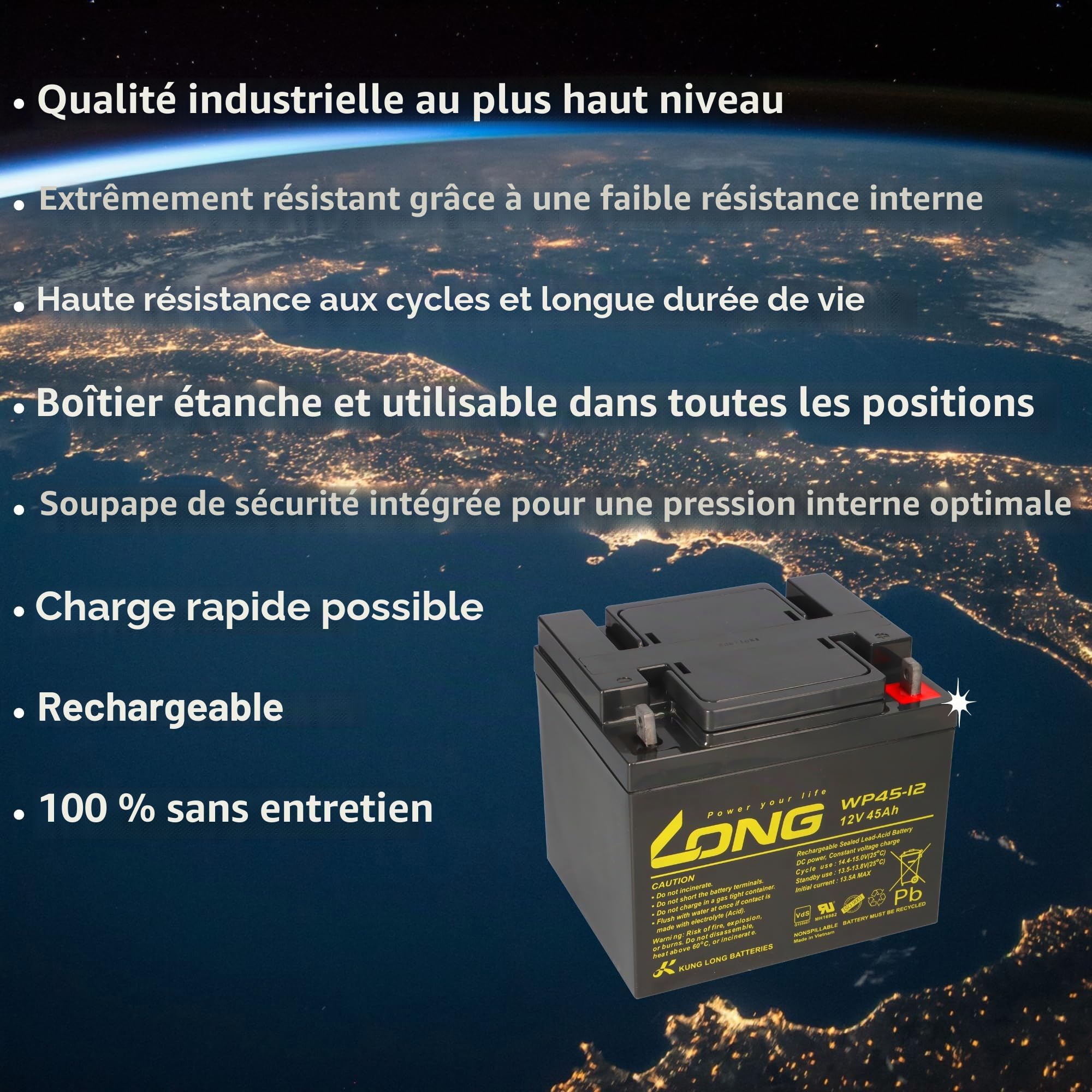 Batterie au plomb longue WP45-12 12 V 45 Ah avec VDs