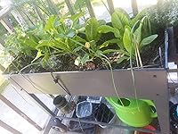 Review Image by Jennifer P. Jennifer P.