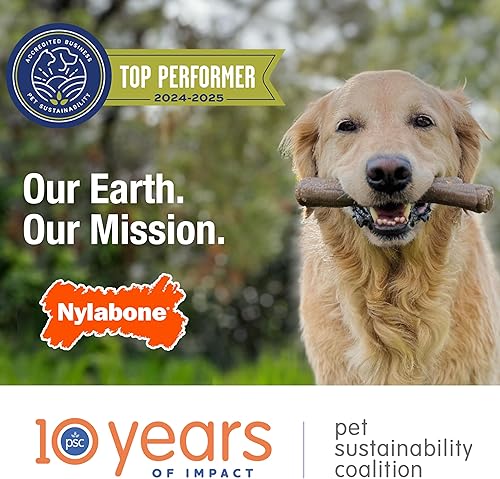 Miniatura 14 de Nylabone Juguete masticable original y texturizado para perros, juguetes duraderos y resistentes para masticadores agresivos, sabor a tocino y