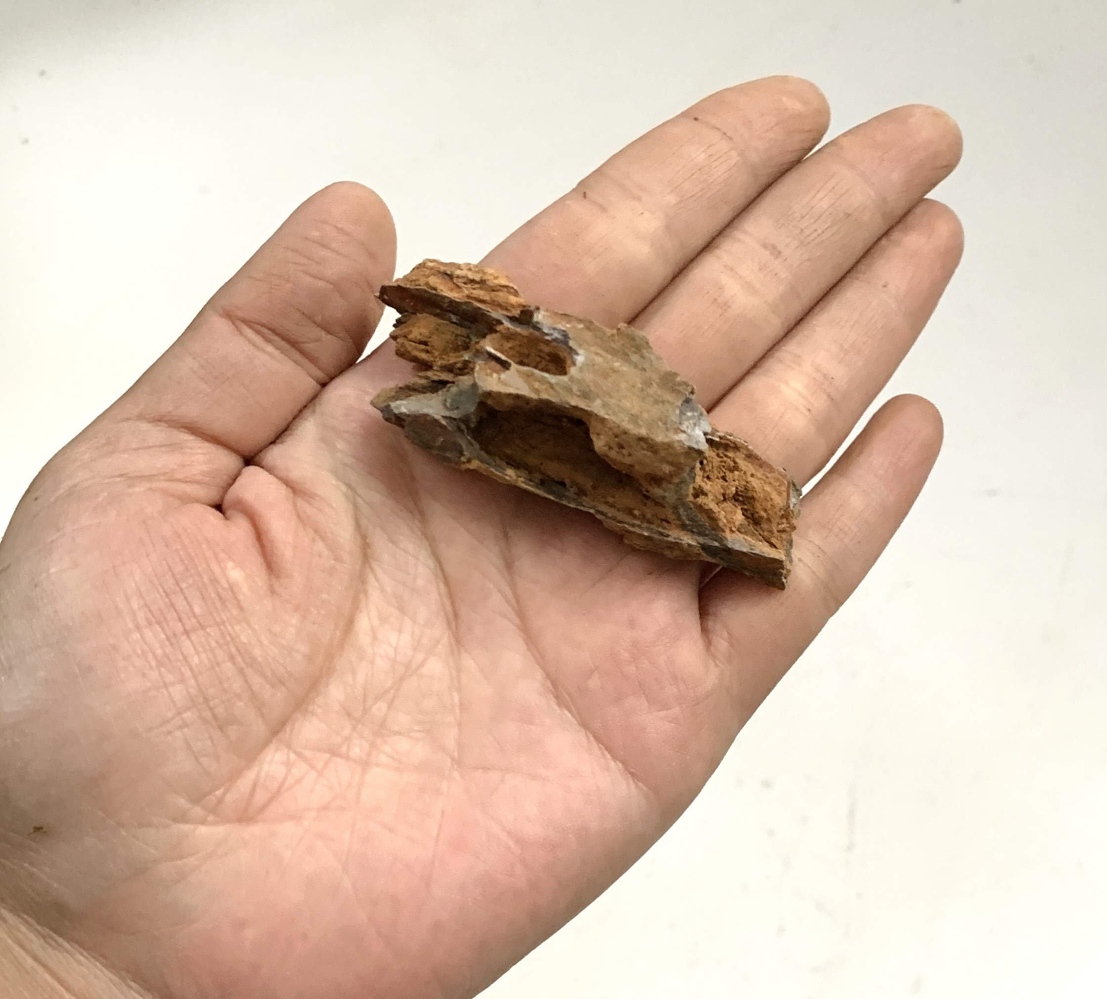 黄虎石　まとめ売り Amazon.co.jp: 気孔石 黄虎石 蜂炎石 20-50㎜ 形状お任せ 22個