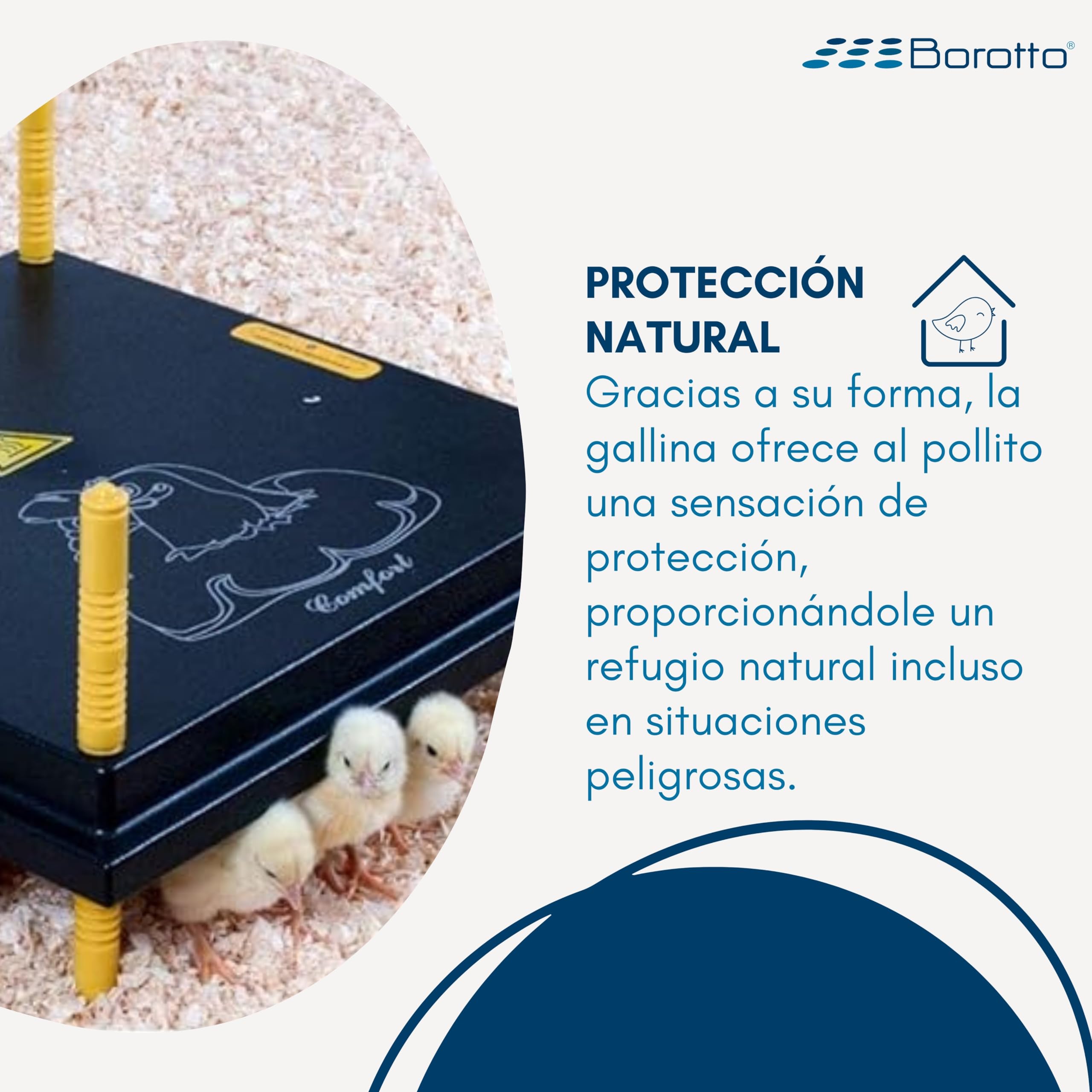 Borotto Criadora de Pollitos - Placa de Calor - Altura Ajustable - Bajo Consumo (30/35 Pulgadas)