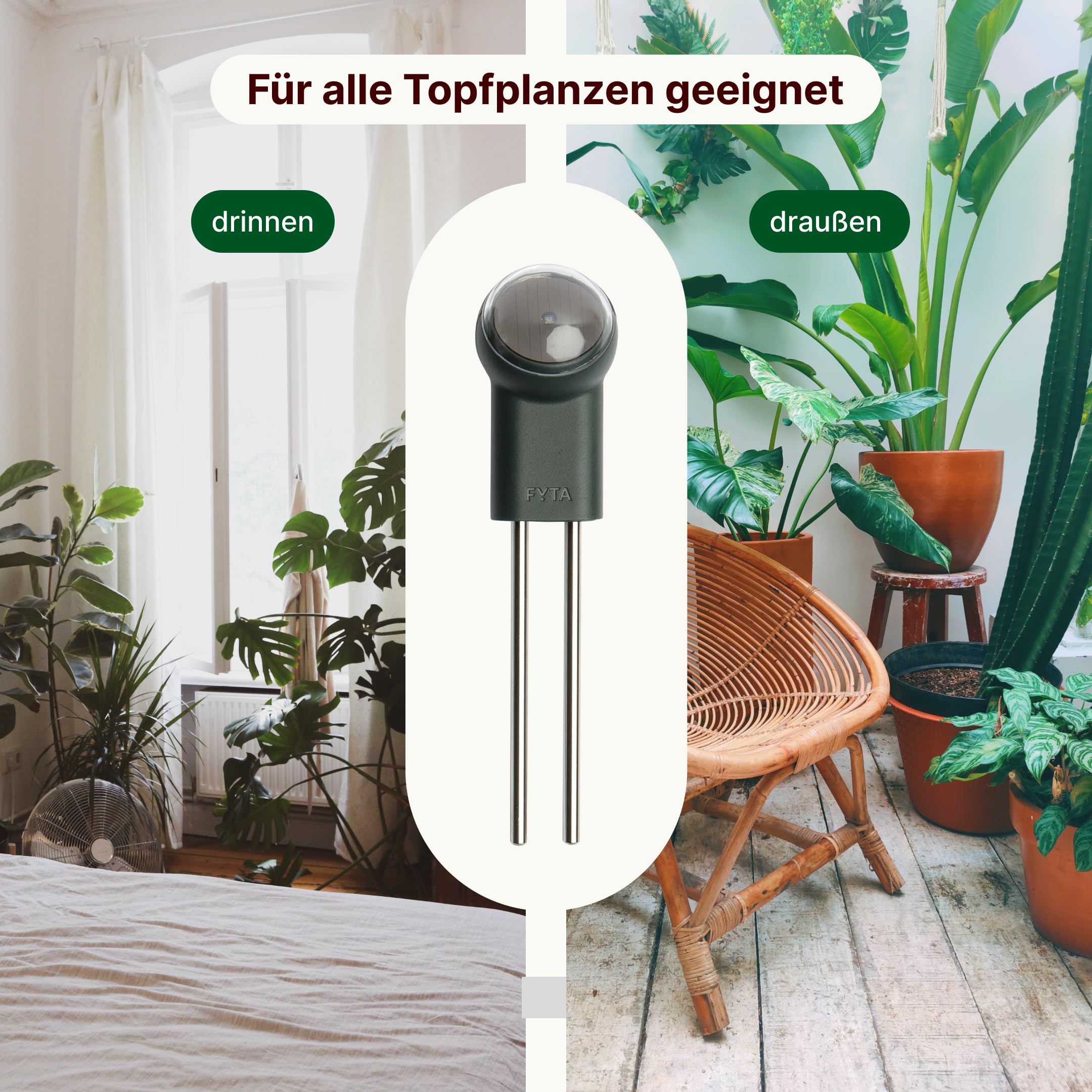 FYTA Beam Smart Plant Sensor + WiFi Hub Measures Water, Temperature, Light,  Fertiliser Requirements - Moisture Meter, Soil Moisture Sensor, Temperature  Sensor, Watering Indicator Indoor Plants - iOS : Amazon.co.uk: Garden