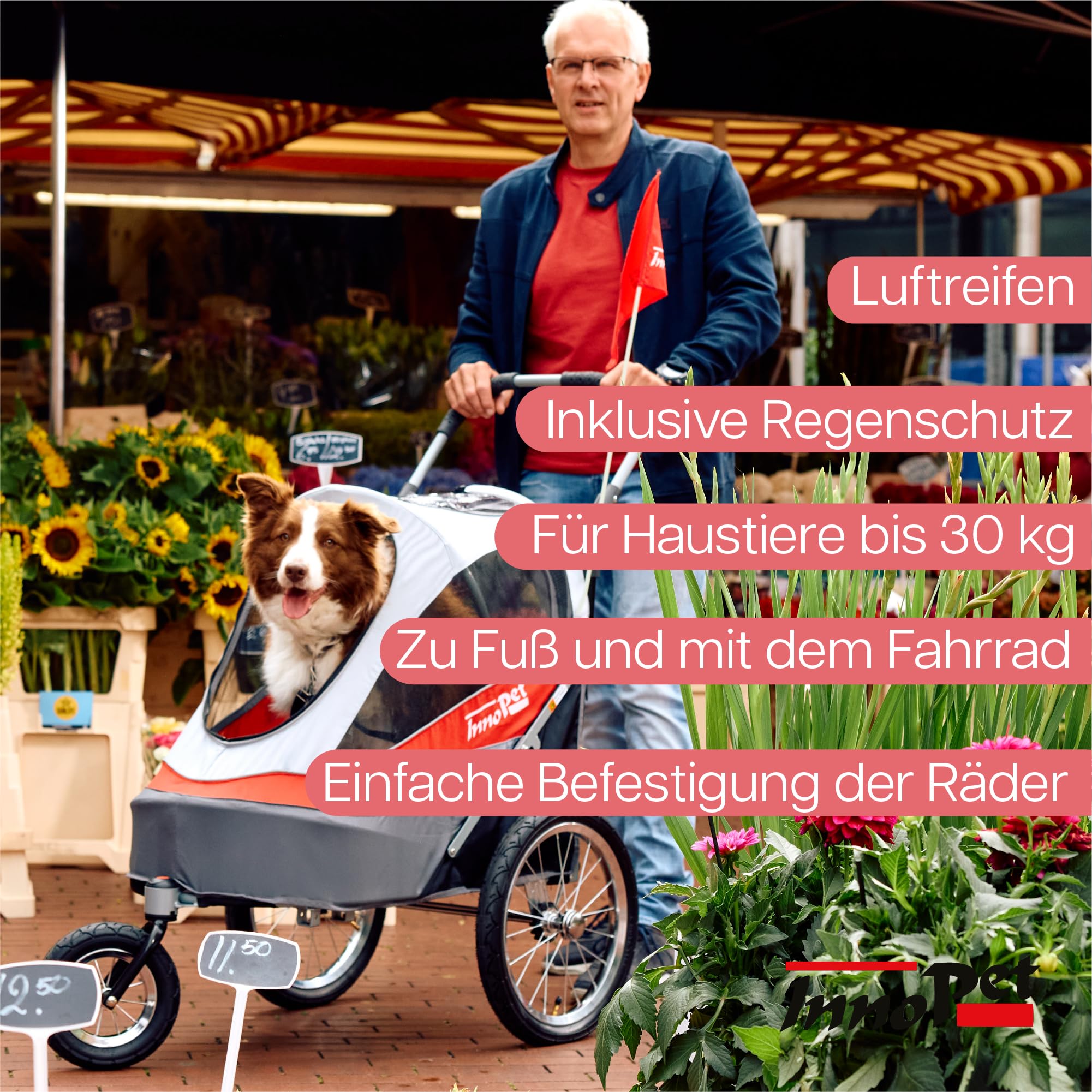 Hundebuggy & Fahrradanhänger für Hunde - Innopet Sporty Dog Trailer Deluxe Hundeanhänger für Fahrrad - Rot/Weiß - zusammenklappbar - mit Regenschutz - Luftreifen - Fahrradkit inklusive