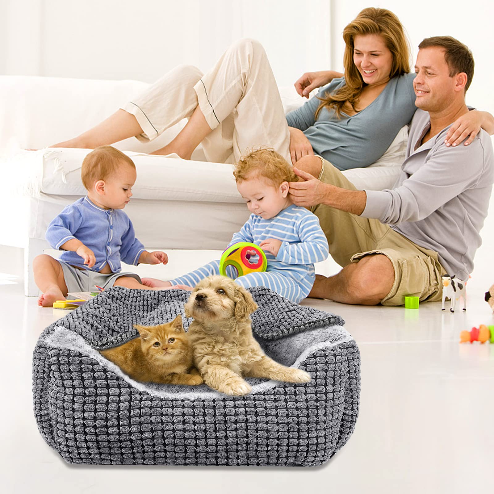 JOEJOY Cama para perros de tamaño mediano, cesta para perros con manta extraíble, cama para perros de pana mullida, lavable, antideslizante, sofá para perros con borde alto, cabe hasta 14 kg mascotas