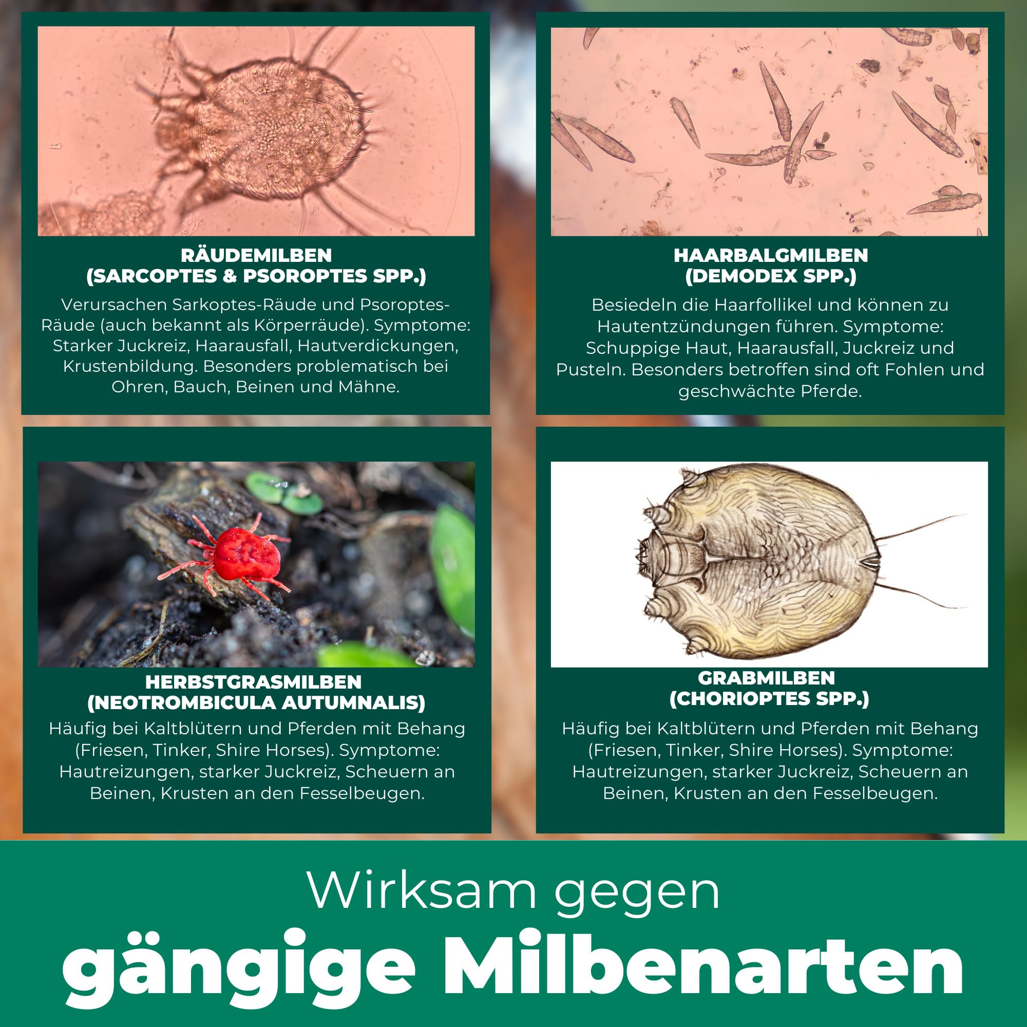 Silberkraft Milbenspray Pferde 2 L - Repellent zur Abwehr von Milben, Flöhen und Läusen - Für Fell, Mähne, Schweif & Stall - Gebrauchsfertig – mit Geraniol