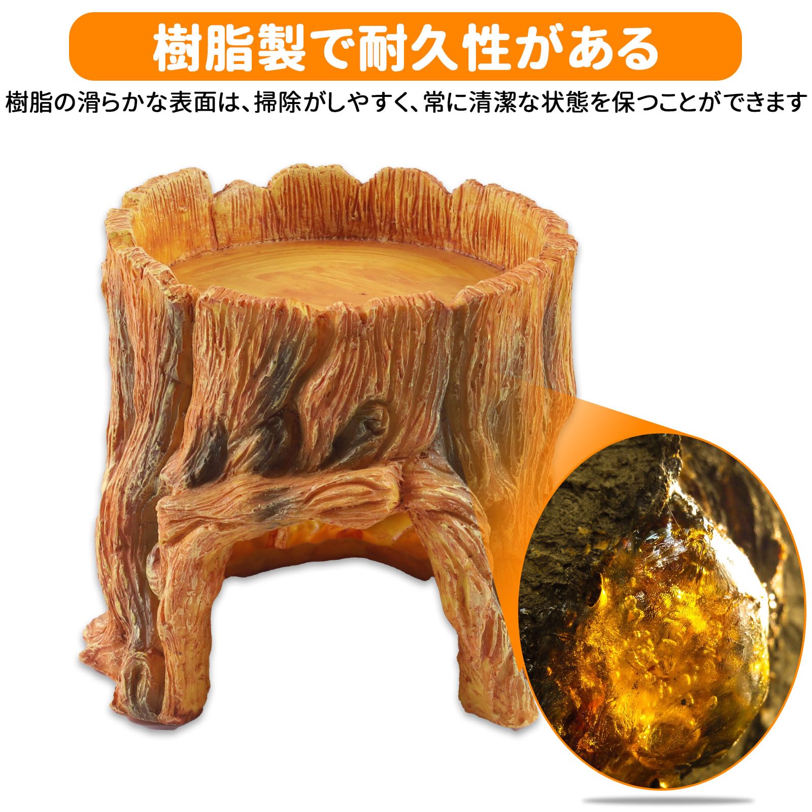 木の根、爬虫類の巣。 冬 - 株式会社バイオーム